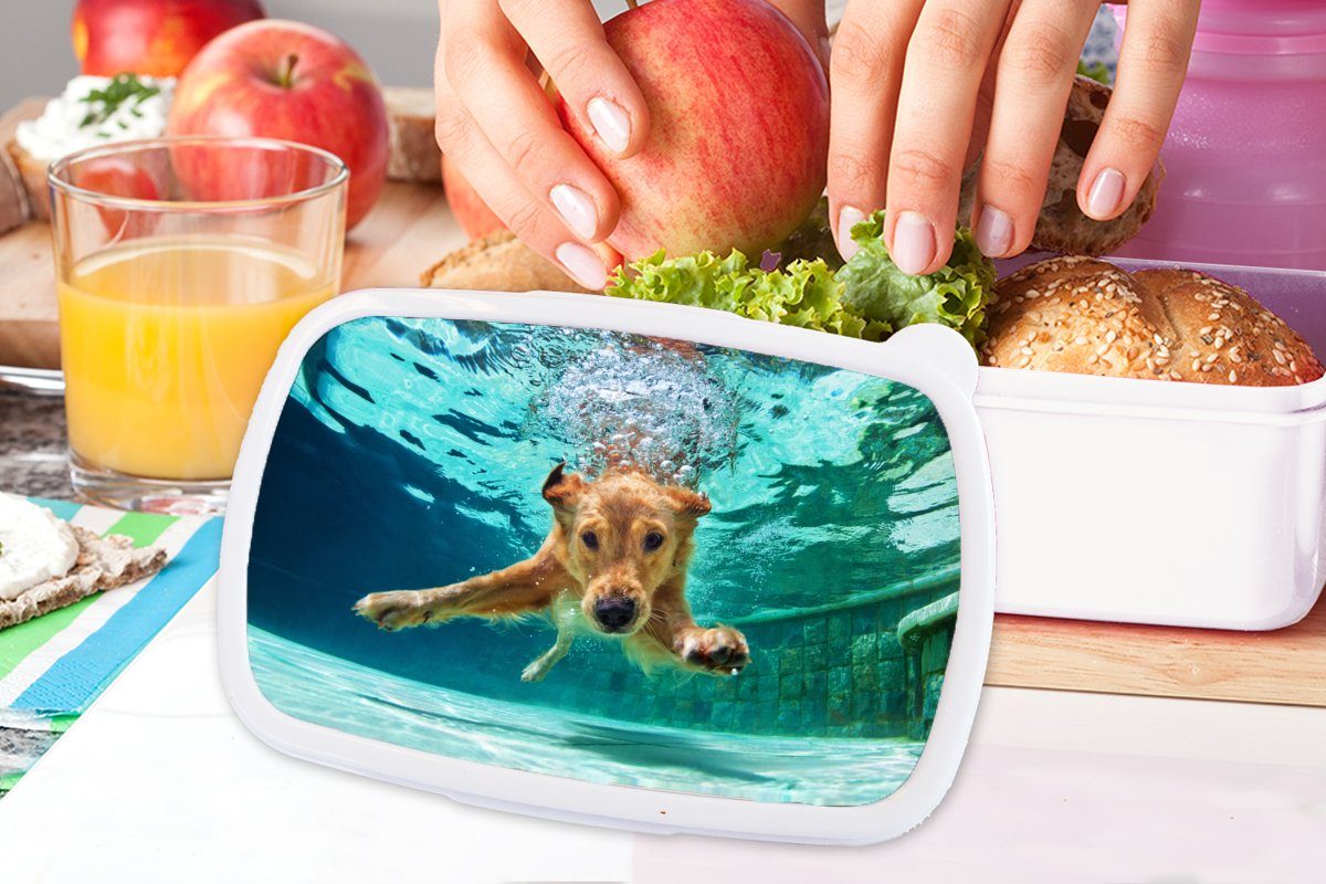 MuchoWow Lunchbox Pool - Mädchen weiß Brotbox Wasser, für Kinder Hund Erwachsene, für (2-tlg), - Kunststoff, und Jungs Brotdose, und