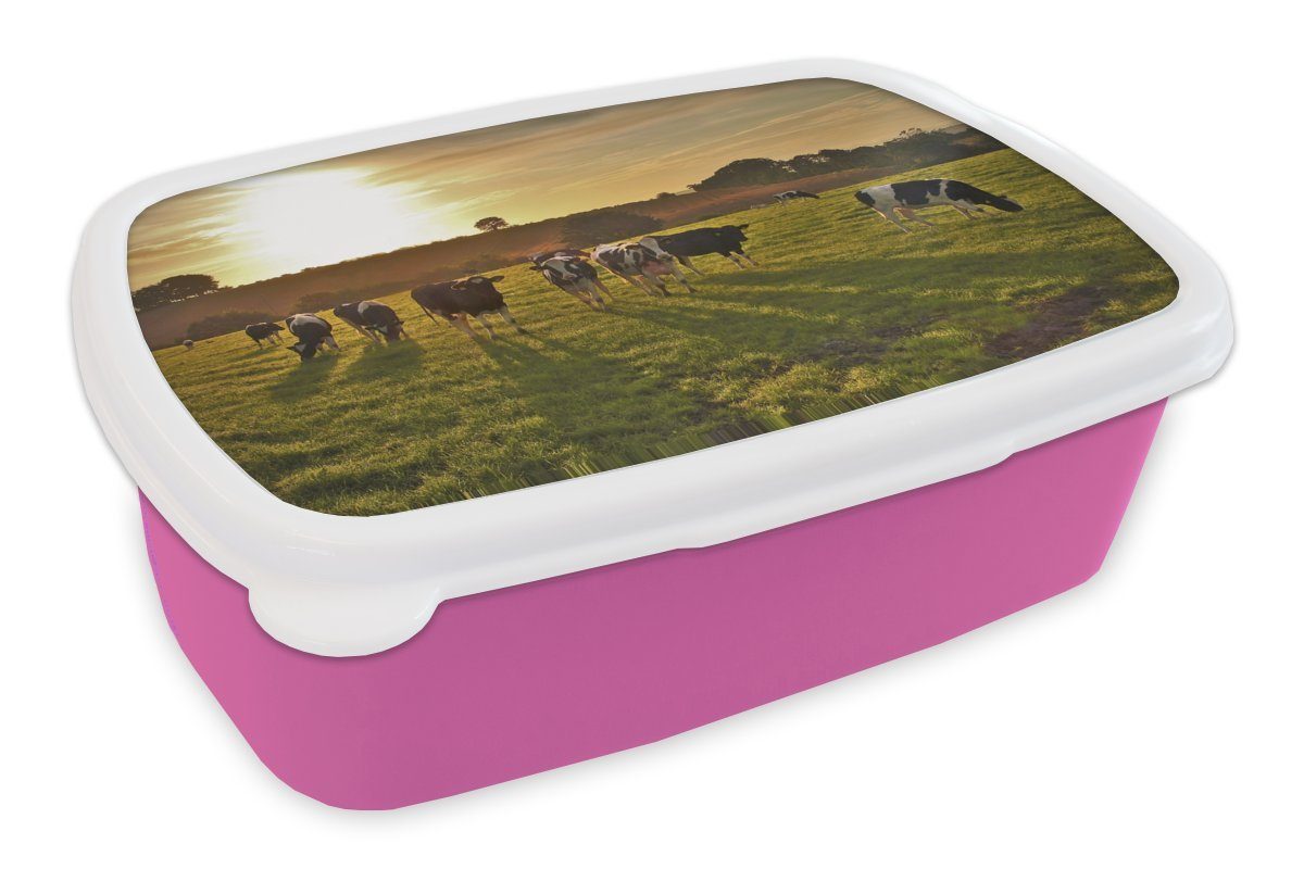 MuchoWow Lunchbox Kühe - Sonne - Licht, Kunststoff, (2-tlg), Brotbox für Erwachsene, Brotdose Kinder, Snackbox, Mädchen, Kunststoff rosa