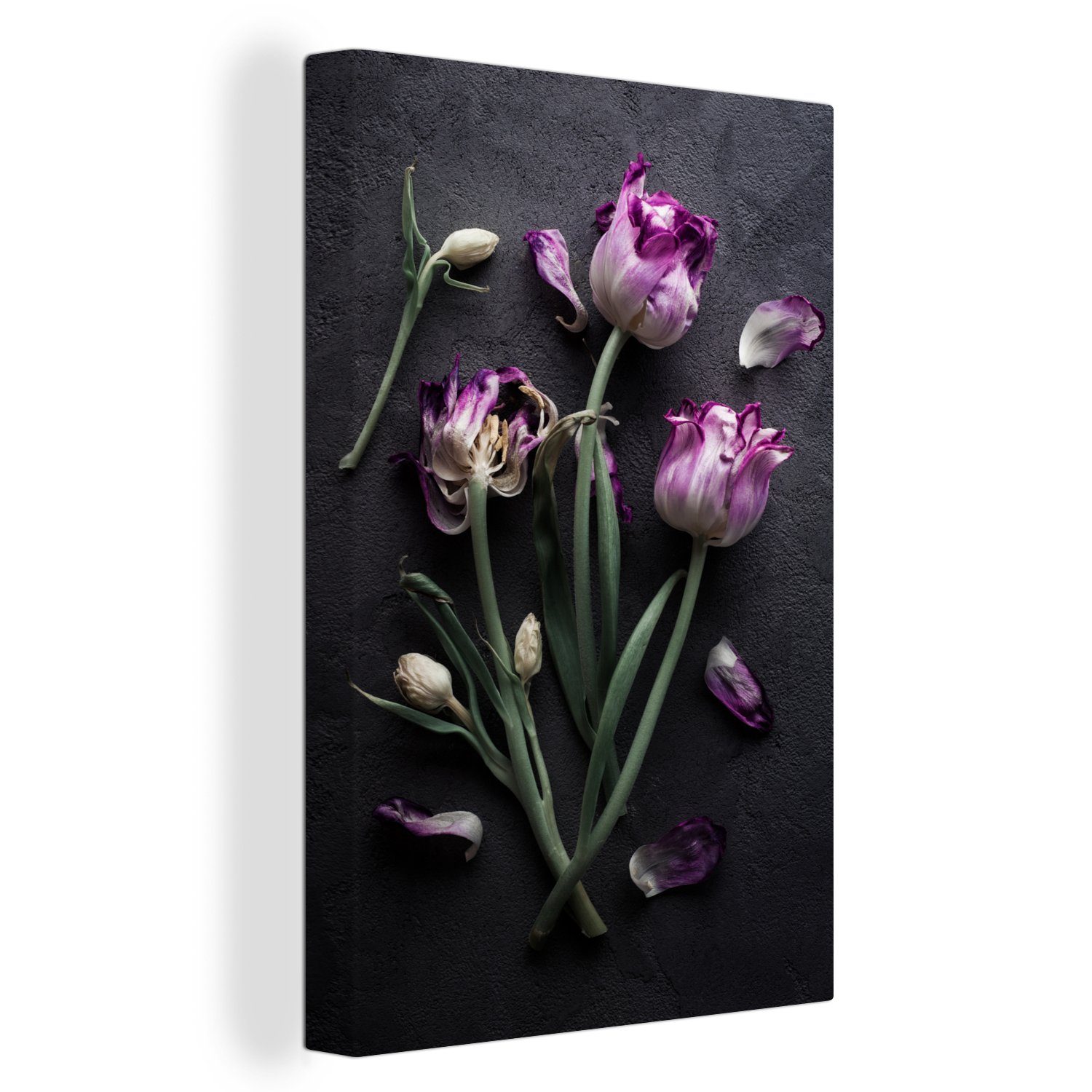 OneMillionCanvasses® Leinwandbild Tulpen - Lila - Blätter, (1 St), Leinwandbild fertig bespannt inkl. Zackenaufhänger, Gemälde, 20x30 cm