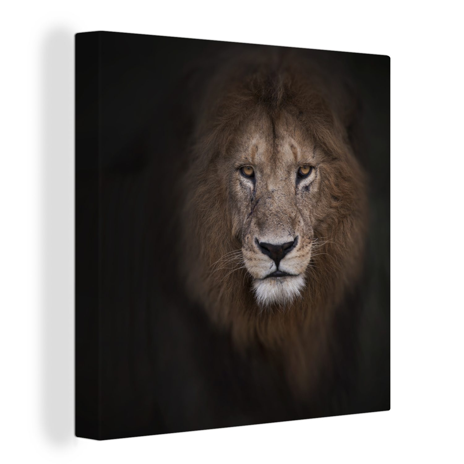 OneMillionCanvasses® Leinwandbild Löwe (1 St), Wild, Leinwand Schatten Schlafzimmer - für - Wohnzimmer Bilder