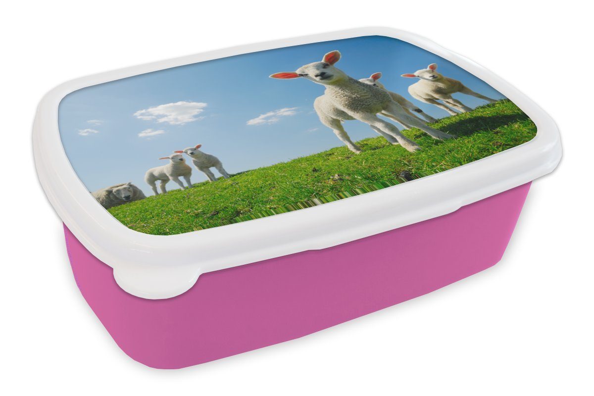 Beförderungsangebot MuchoWow Lunchbox Schafe Kinder, Frühling Erwachsene, Kunststoff, Landschaft, rosa Mädchen, (2-tlg), - Brotbox für Snackbox, Brotdose Kunststoff 