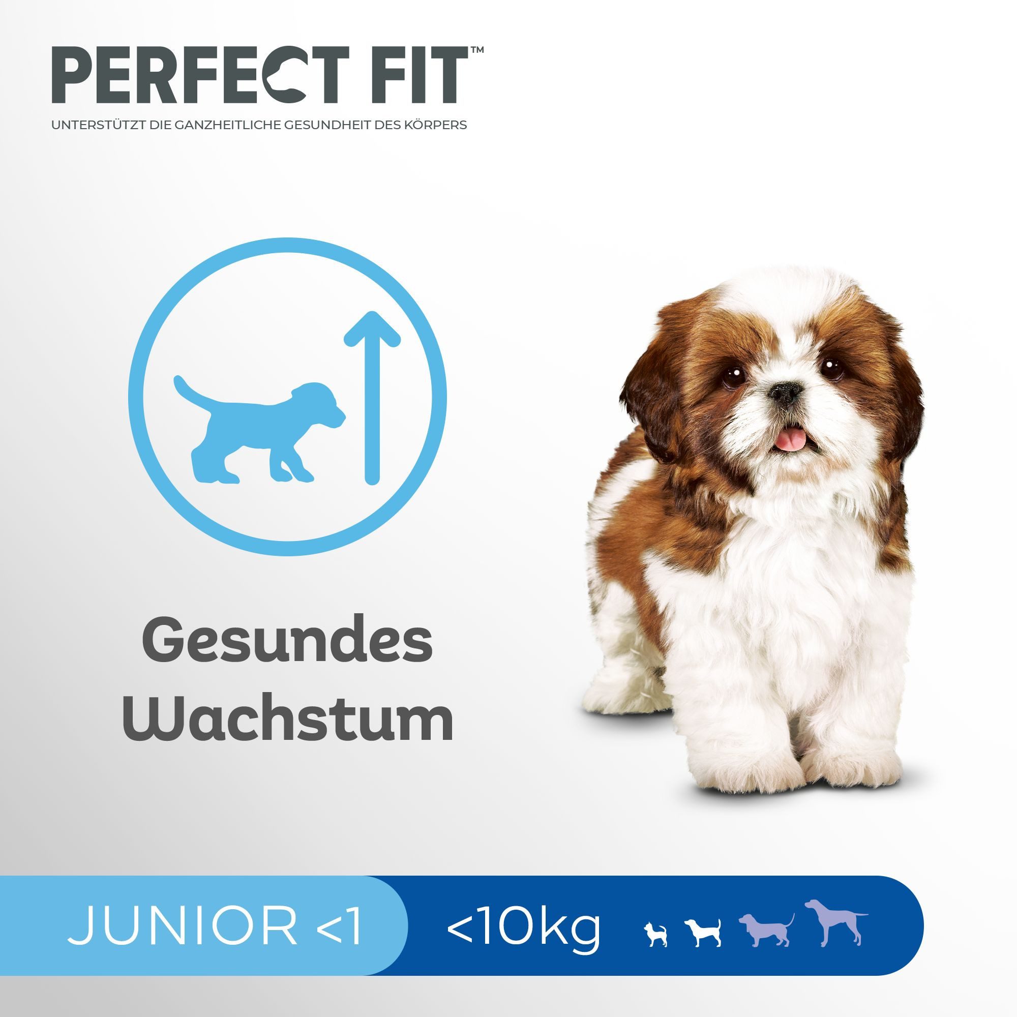 Perfect Fit PERFECT FIT™ Hundefutter Trockenfutter Junior <10kg Huhn 2 x 6kg, Trockenfutter für: Hunde