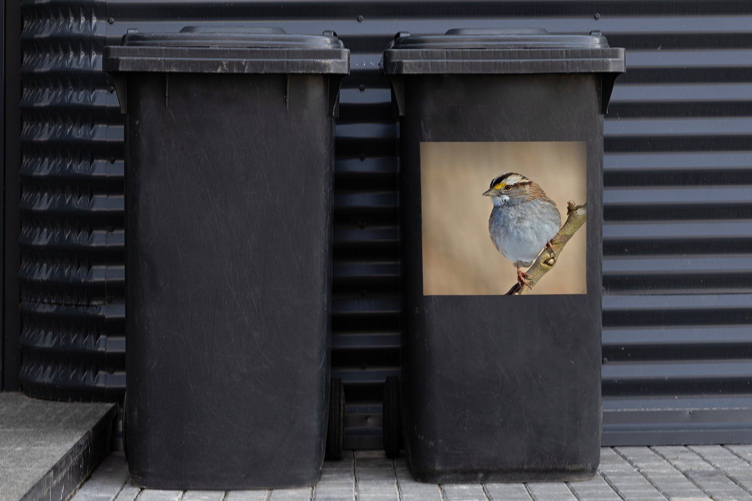 St), Sticker, Zweig Container, MuchoWow Porträt Mülleimer-aufkleber, Grauammer (1 Abfalbehälter auf Mülltonne, Wandsticker einem einer