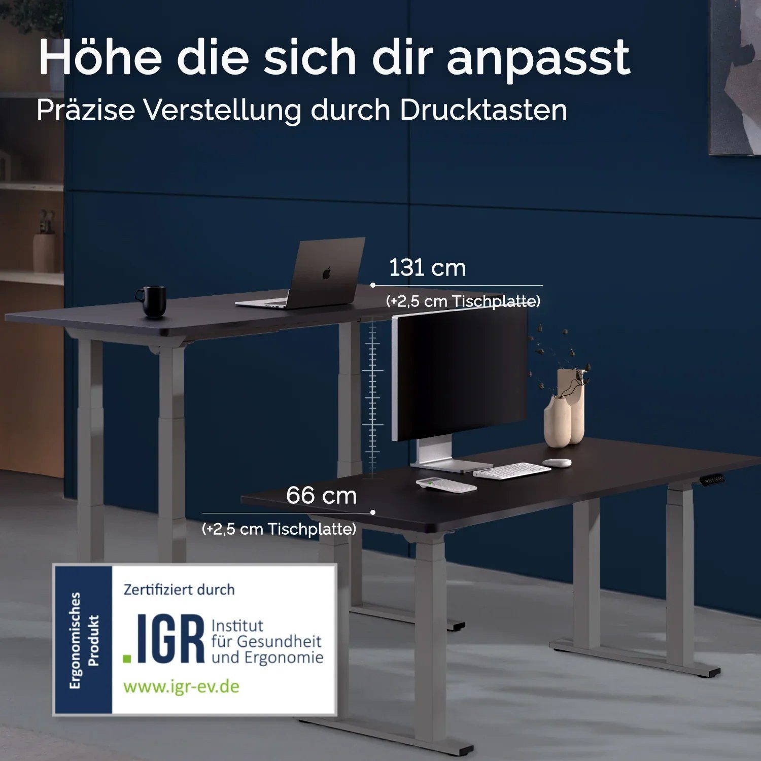 DESKSPACE Tischgestell Titan - Elektrisch höhenverstellbarer 4-Bein-Schreibtisch (Einzeltisch), Elektrisch höhenverstellbar, Dual-Motor, USB, Memory, 200 kg tragfähig
