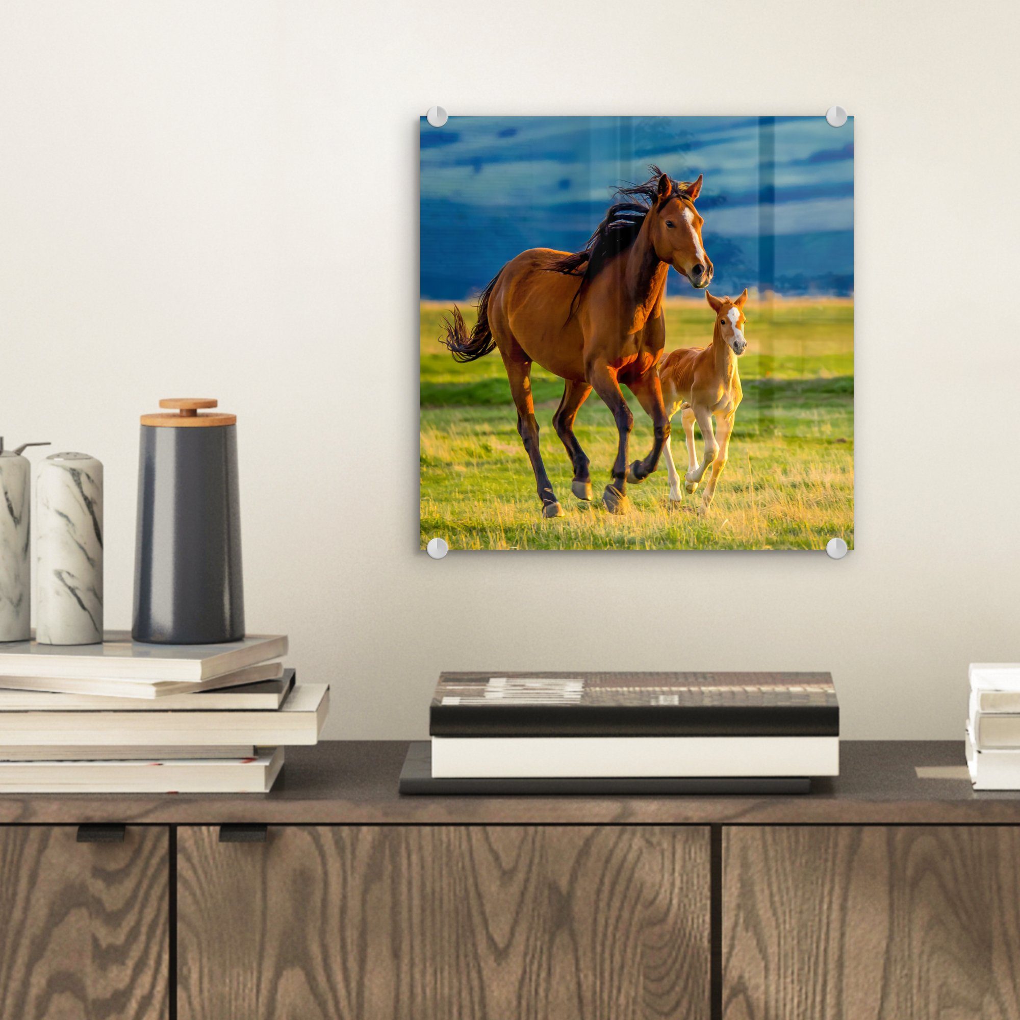MuchoWow Acrylglasbild Pferde - Gras - Tiere - Landschaft - Natur, Inkl. Aufhängung, Bilder auf Glas Wandbild, Wanddeko Wohnzimmer Badezimmer, 20x20 cm
