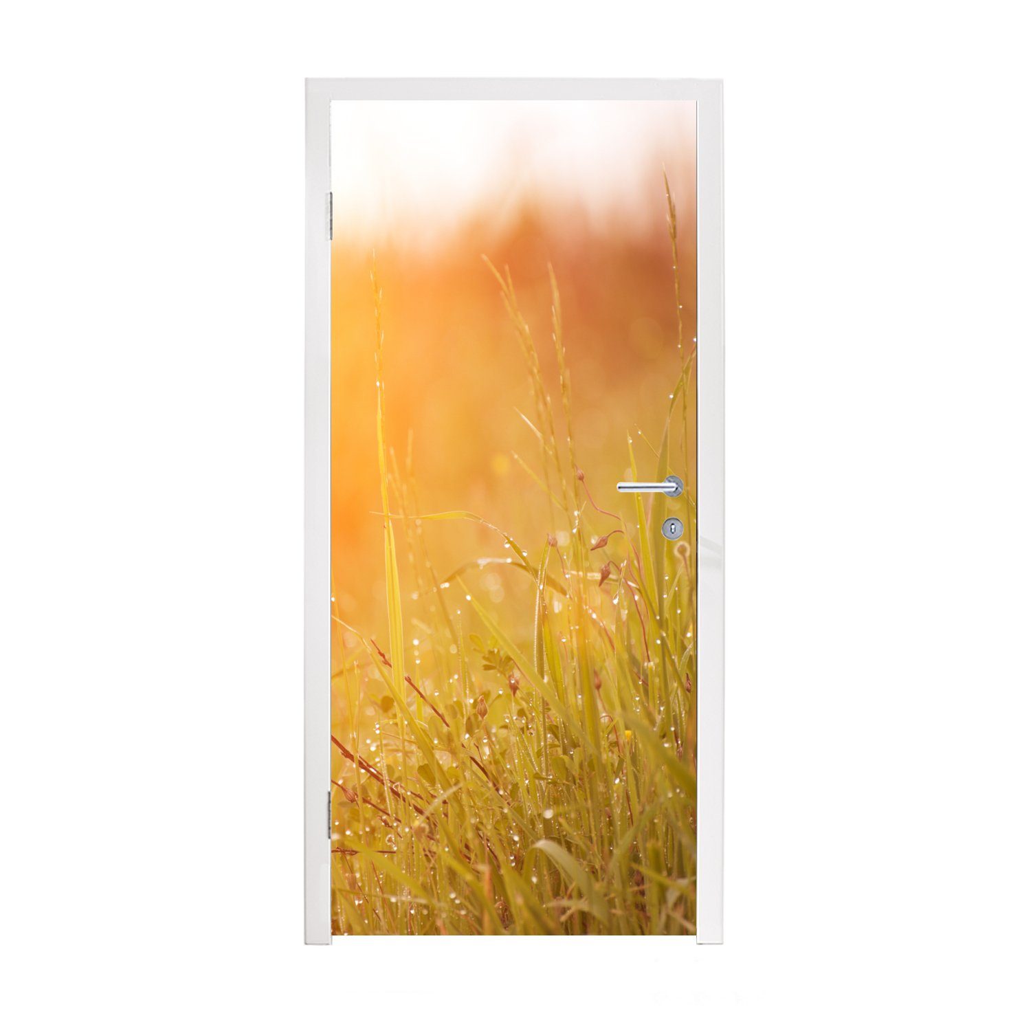 MuchoWow Türtapete Gras mit frühem Tau im Morgenlicht, Matt, bedruckt, (1 St), Fototapete für Tür, Türaufkleber, 75x205 cm
