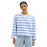 blue offwhite stripe