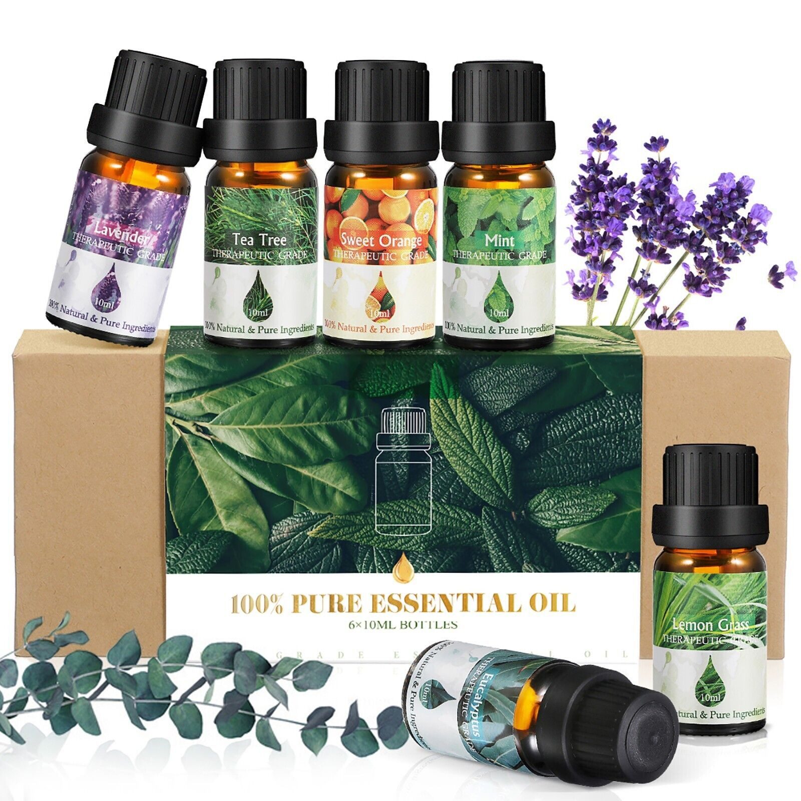 NASUM Duftöl Ätherische Öle Set 6x10ml – Lavendel, Tee, Orange, Minze, Eukalyptus und Zitronengras