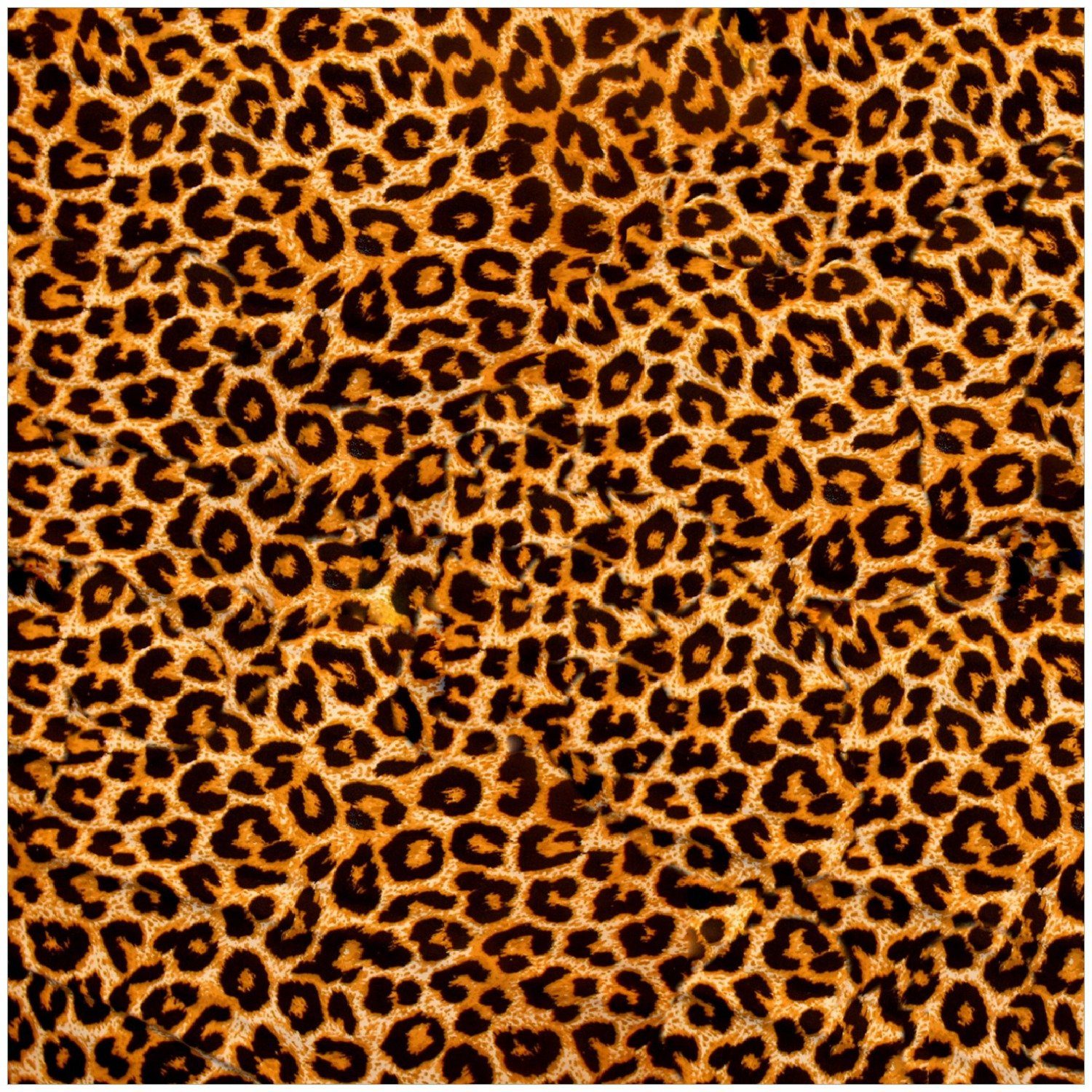Wallario Memoboard Leopardenmuster in orange schwarz