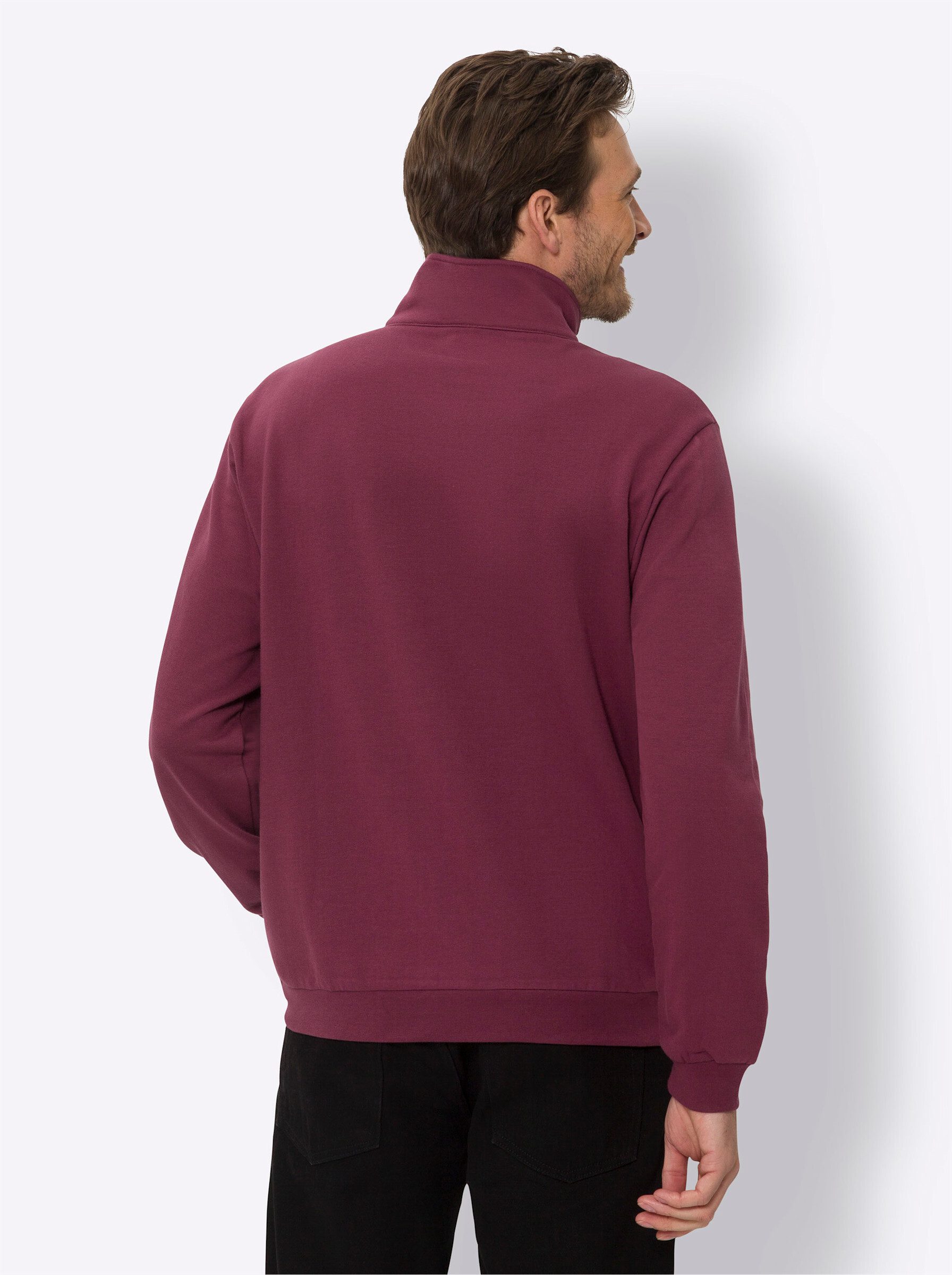 Sieh an! Sweater Sweatshirt günstig online kaufen
