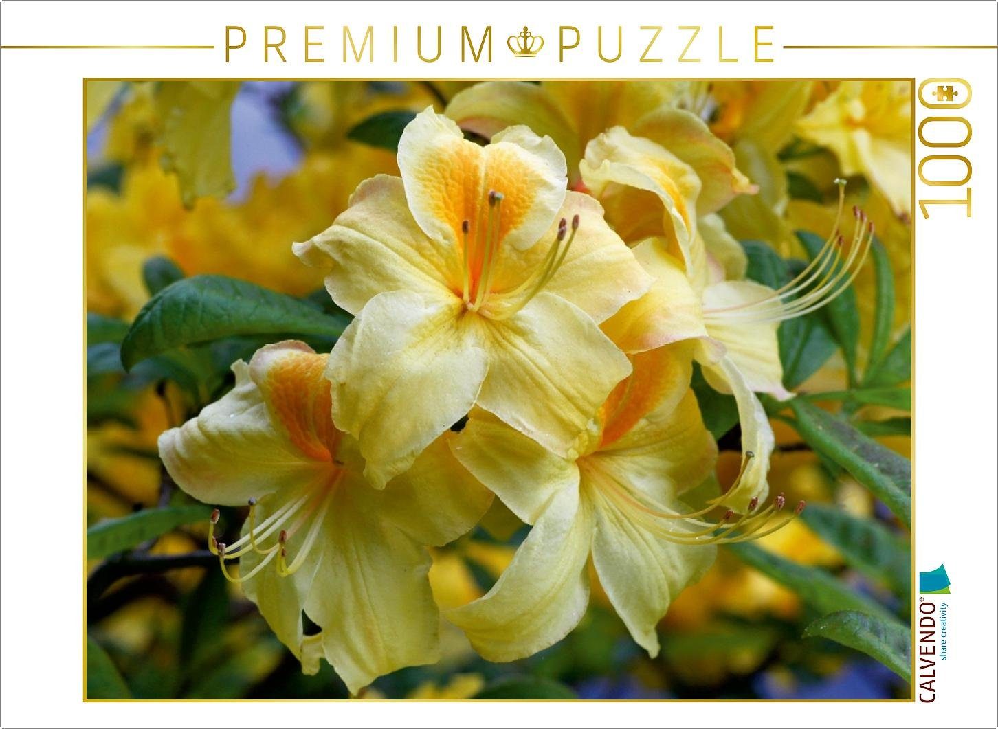 CALVENDO Puzzle CALVENDO Puzzle Gelber Rhododendron 1000 Teile Lege-Größe 64 x 48 cm Foto-Puzzle Bild von Martina Cross, 1000 Puzzleteile