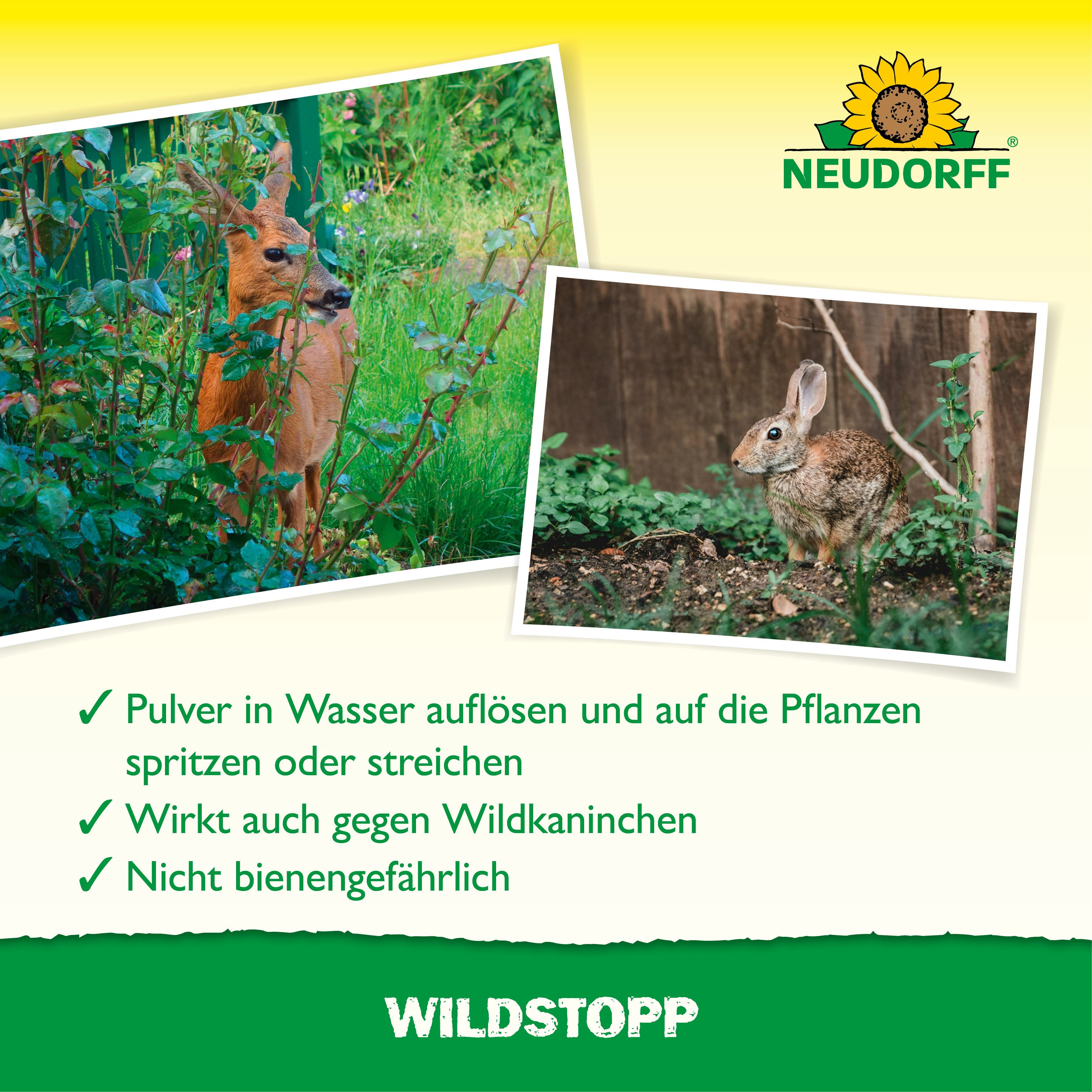 Neudorff Vergrämungsmittel WildStopp 100 g für 200 Pflanzen, Anrührbares Repellent zum Spritzen und Streichen, 100 g für bis zu 200 Einzelpflanzen, Haftender Schutzbelag mit bis zu 6 Monaten Wirkung