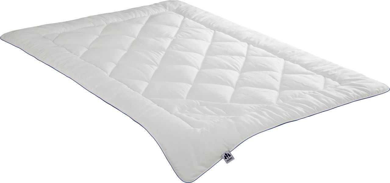 Badenia Trendline Federbettdecke Badenia Steppbettdecke für 4 Jahreszeiten, OEKO-TEX® Standard 100 Zertifikatsnummer