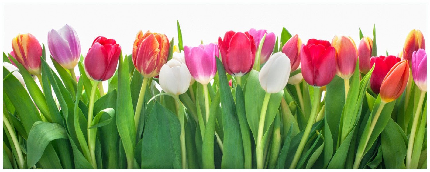 Wallario Memoboard Rote weiße und pinke Tulpen im Frühling