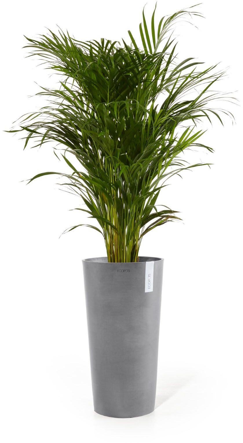 ECOPOTS Blumentopf AMSTERDAM HIGH Grey, BxTxH: 41x41x76 cm