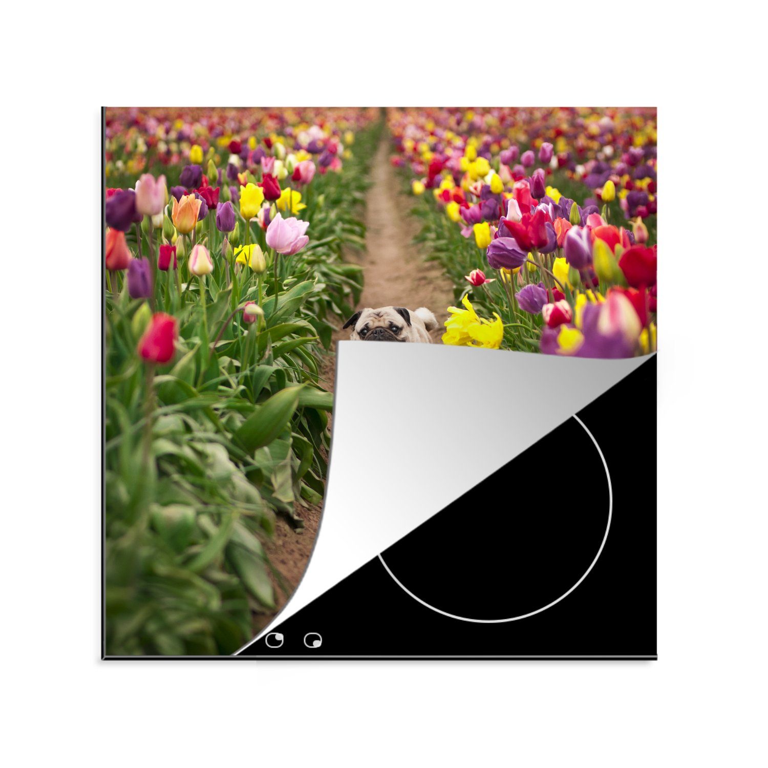 MuchoWow Herdblende-/Abdeckplatte Mops - Tulpen - Blumen, Vinyl, (1 tlg), 78x78 cm, Ceranfeldabdeckung, Arbeitsplatte für küche