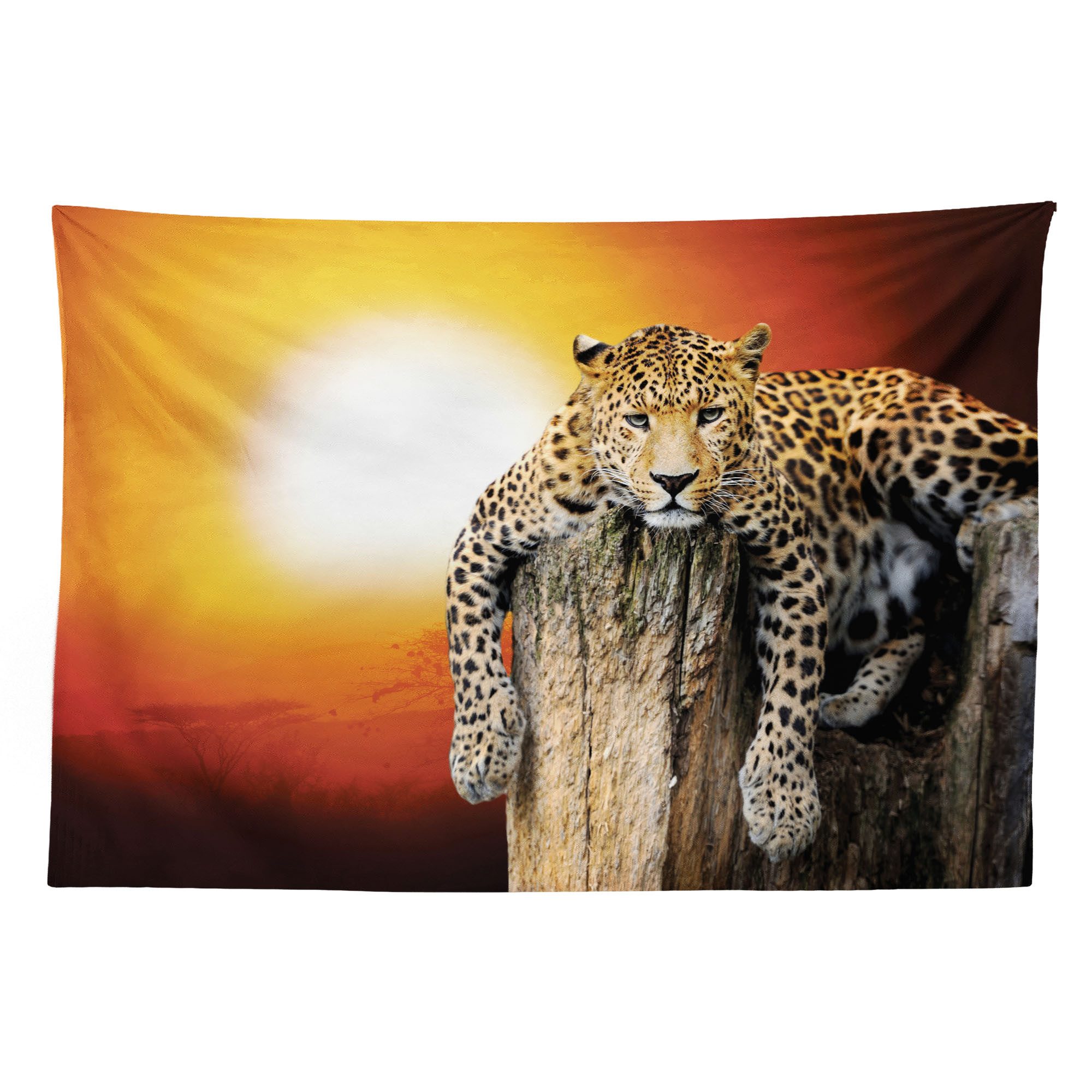 Abakuhaus Wandteppich aus Weiches Mikrofaser Stoff Für das Wohn und Schlafzimmer, rechteckig, afrikanisch Safari Leopard auf Baum