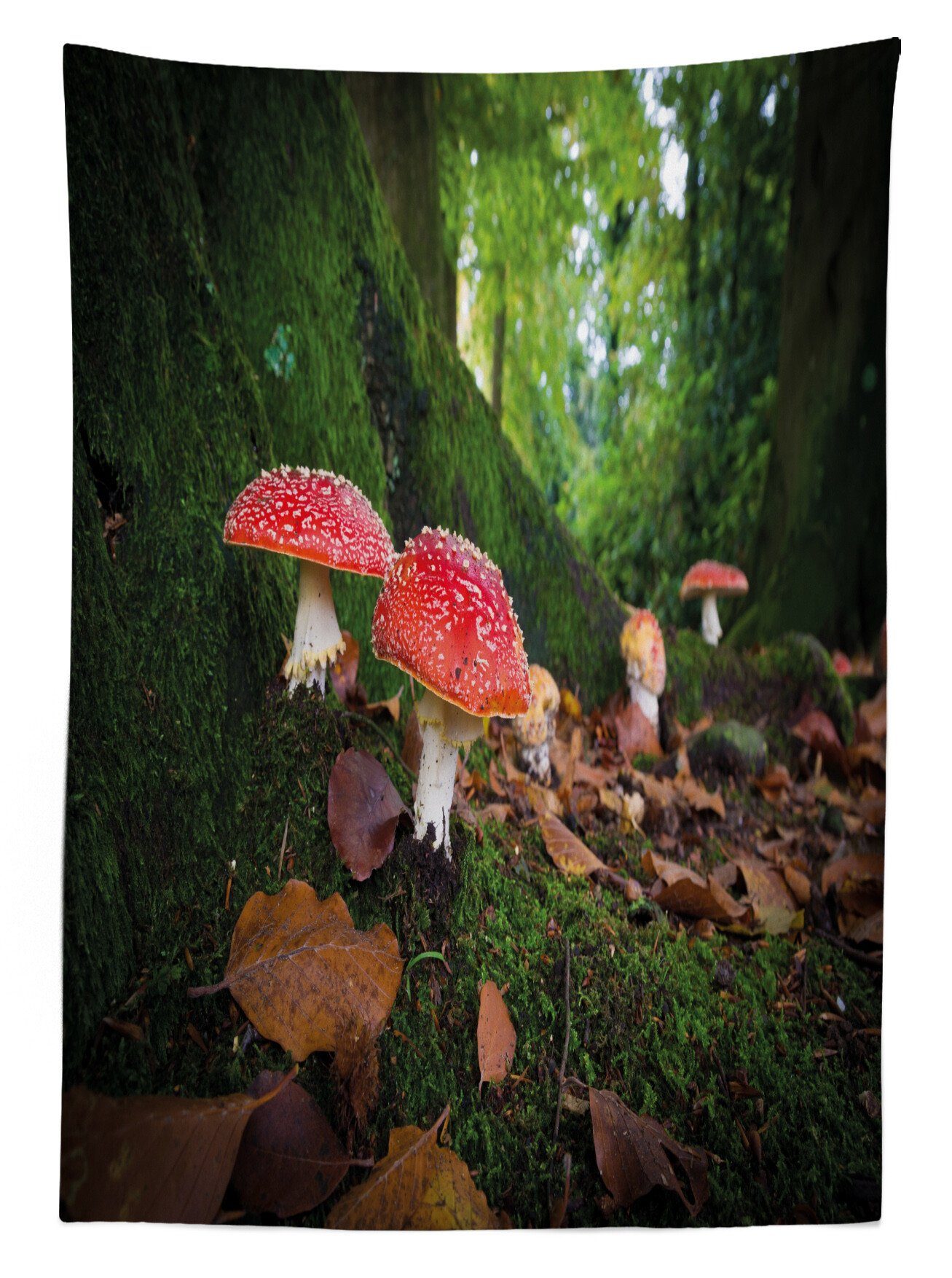 Agaric Farben, Tischdecke Fly geeignet Für Mushroom-Foto Außen Bereich den Botanische Farbfest Klare Abakuhaus Waschbar