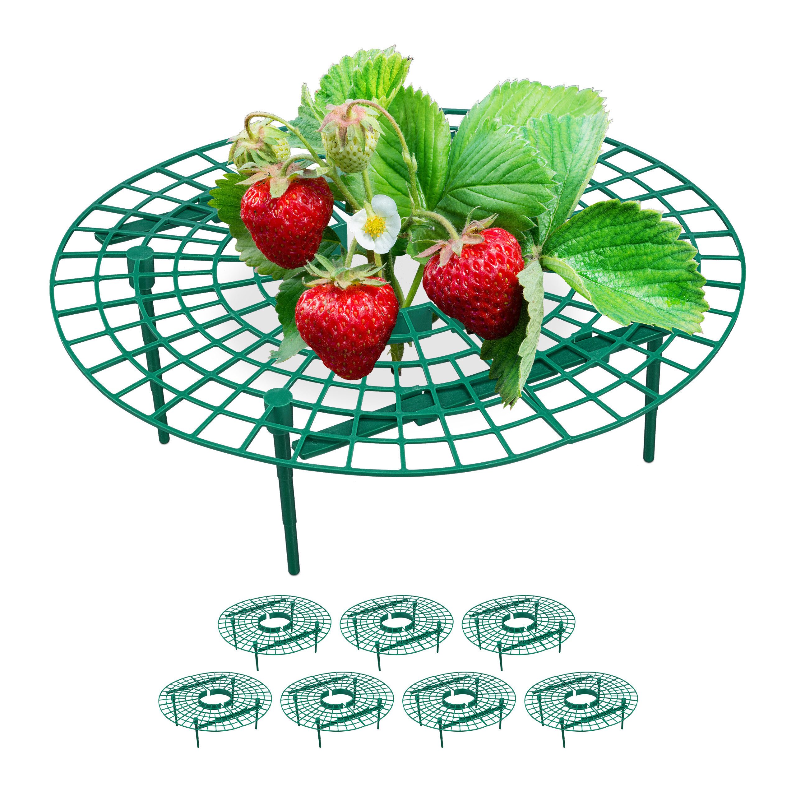 Erdbeerreifer 8er Set