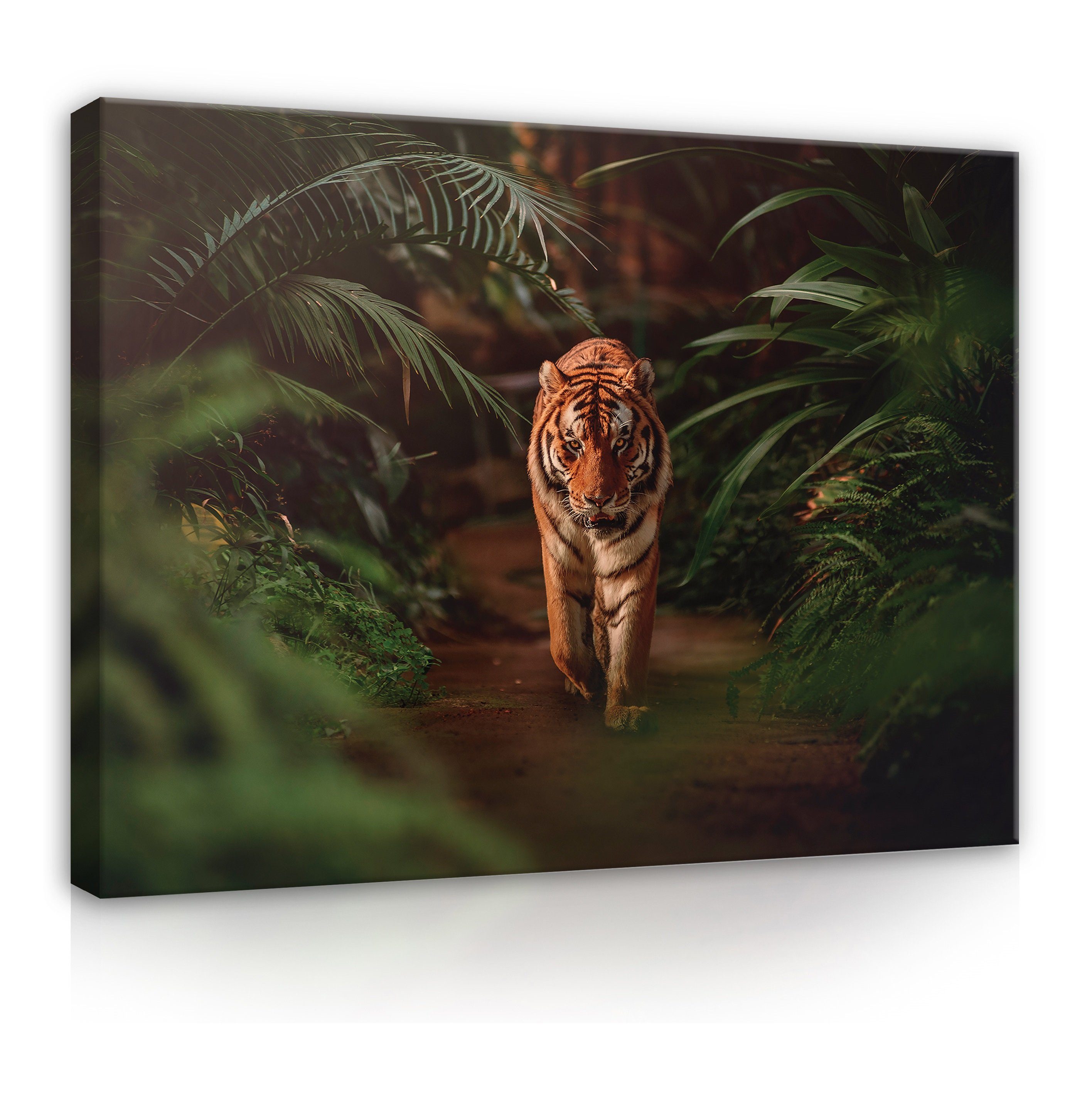Wallarena Leinwandbild Tiger Dschungel Wald Tropisch Wandbild Wand Deko Leinwandbilder Modern, Tiger im Dschungel (Einteilig), Leinwand Bilder Wohnzimmer Schlafzimmer Küche Wandbild Leinwandbilder