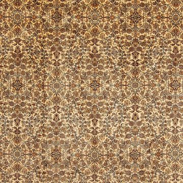 Seidenteppich Seidenteppich - Kaschmir Seide - 353 x 253 cm - hellbraun, morgenland, rechteckig, Höhe: 4 mm, Wohnzimmer, Handgeknüpft, Einzelstück mit Zertifikat
