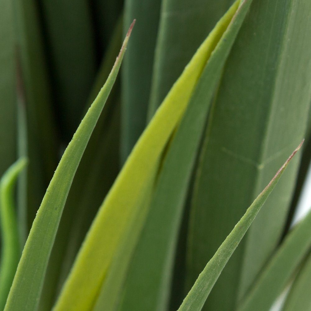 Kunstpalme Yucca Palmlilie Kunstpflanze Plastikpflanze Künstliche Pflanze 150 cm Yucca Palme, Decovego, Höhe 150 cm – Bild 5 von 5