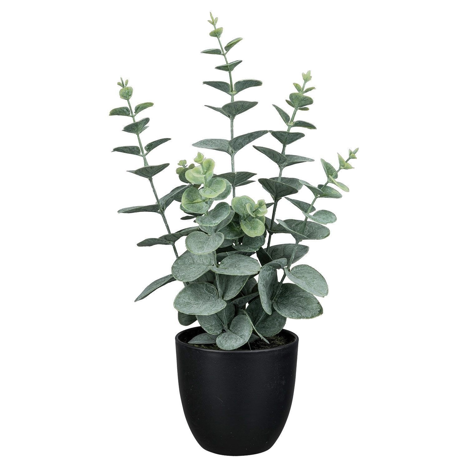 Kunstpflanze NELE, Grau, Grün, Kunststoff, mit Übertopf Eukalyptus, Gasper, günstig online kaufen