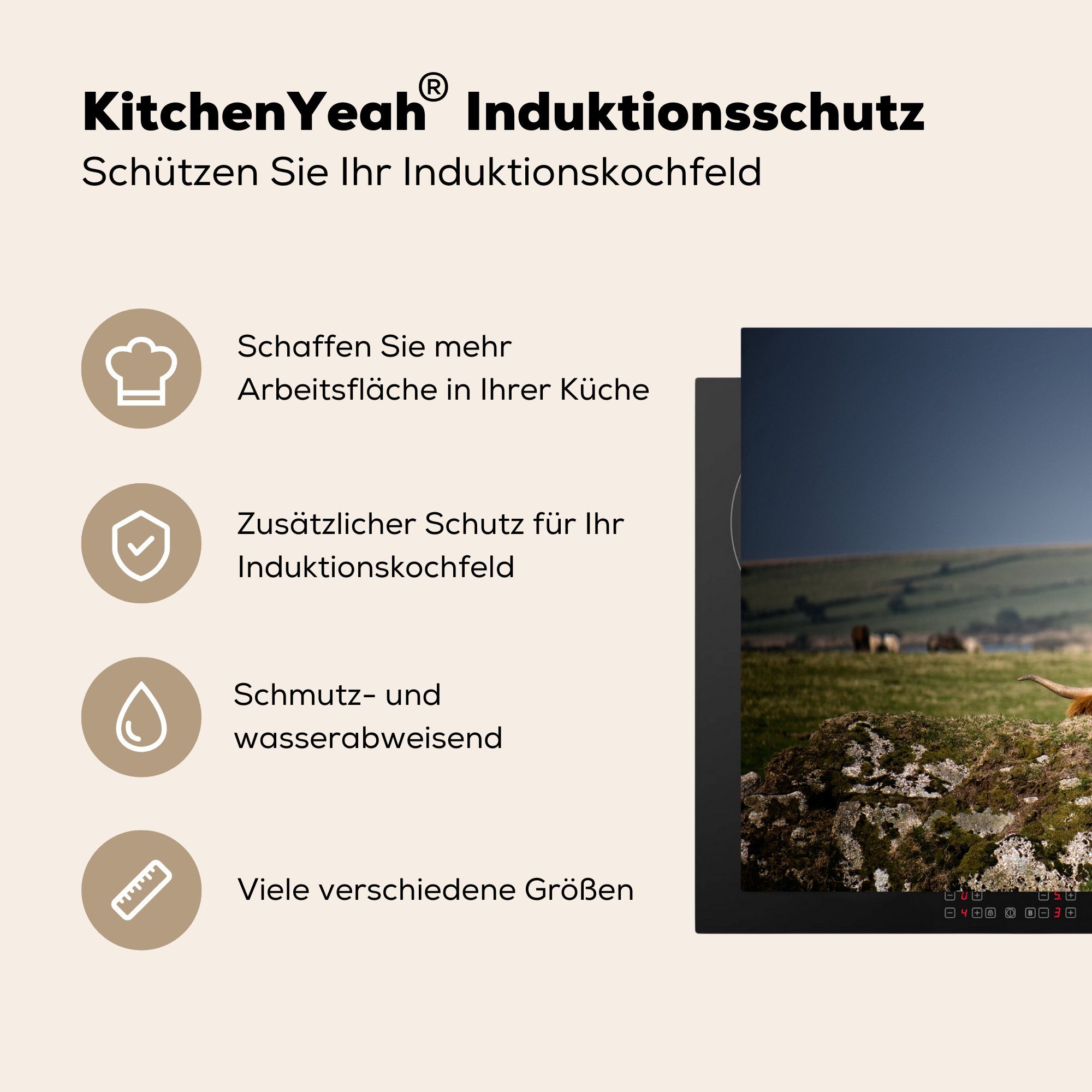 Gras, Steine Induktionskochfeld, Highlander Schottische - Herdblende-/Abdeckplatte Induktionsschutz, 57x51 cm, (1 Ceranfeldabdeckung - Vinyl, MuchoWow tlg),