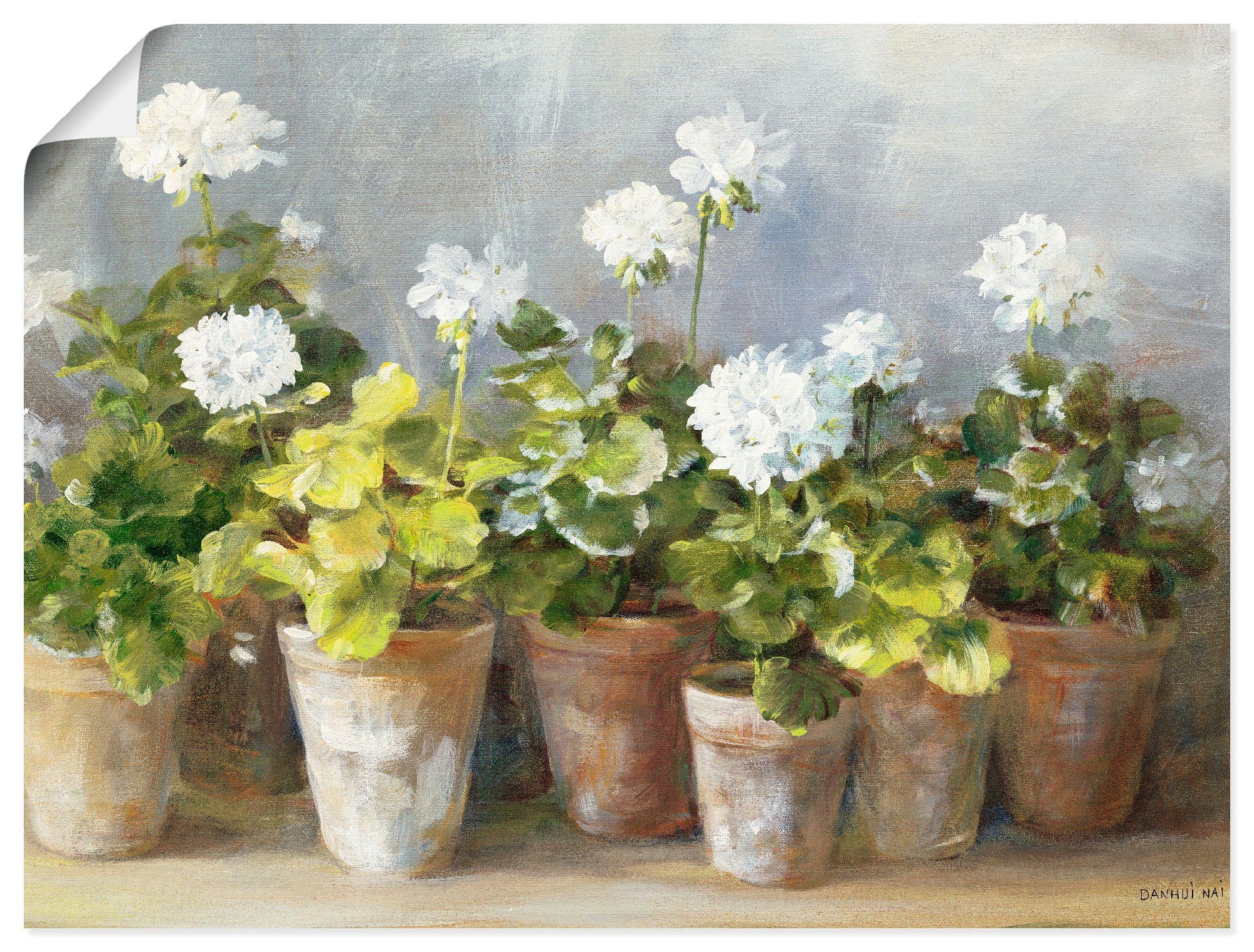 Artland Wandbild Weiße Geranien, Blumen (1 St), als Leinwandbild, Wandaufkleber oder Poster in versch. Größen
