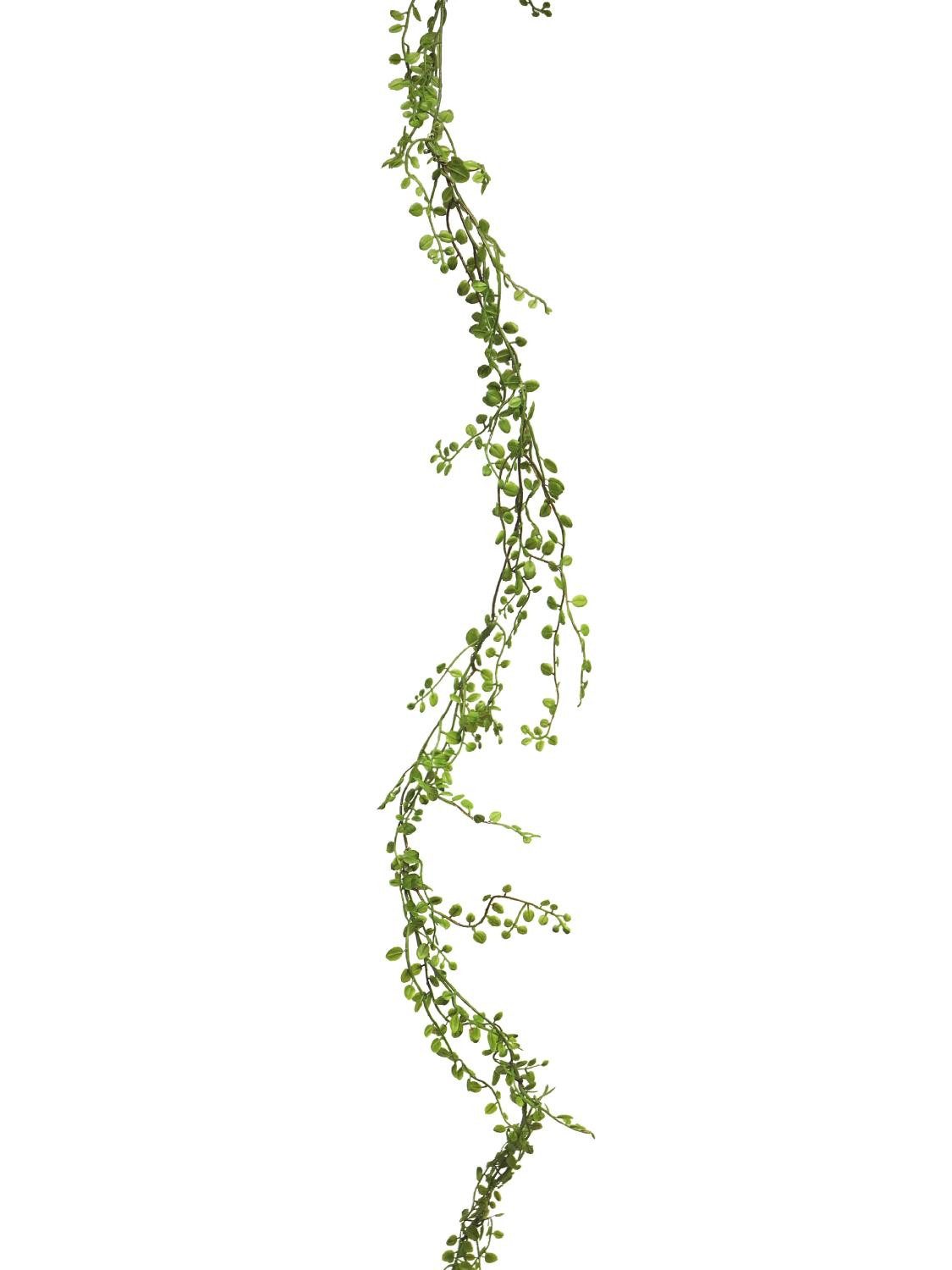 Kunstgirlande Deko Girlande Mühlenbeckia Weijia, grün, 180 cm Mühlenbeckia, artplants, Höhe 180.0 cm