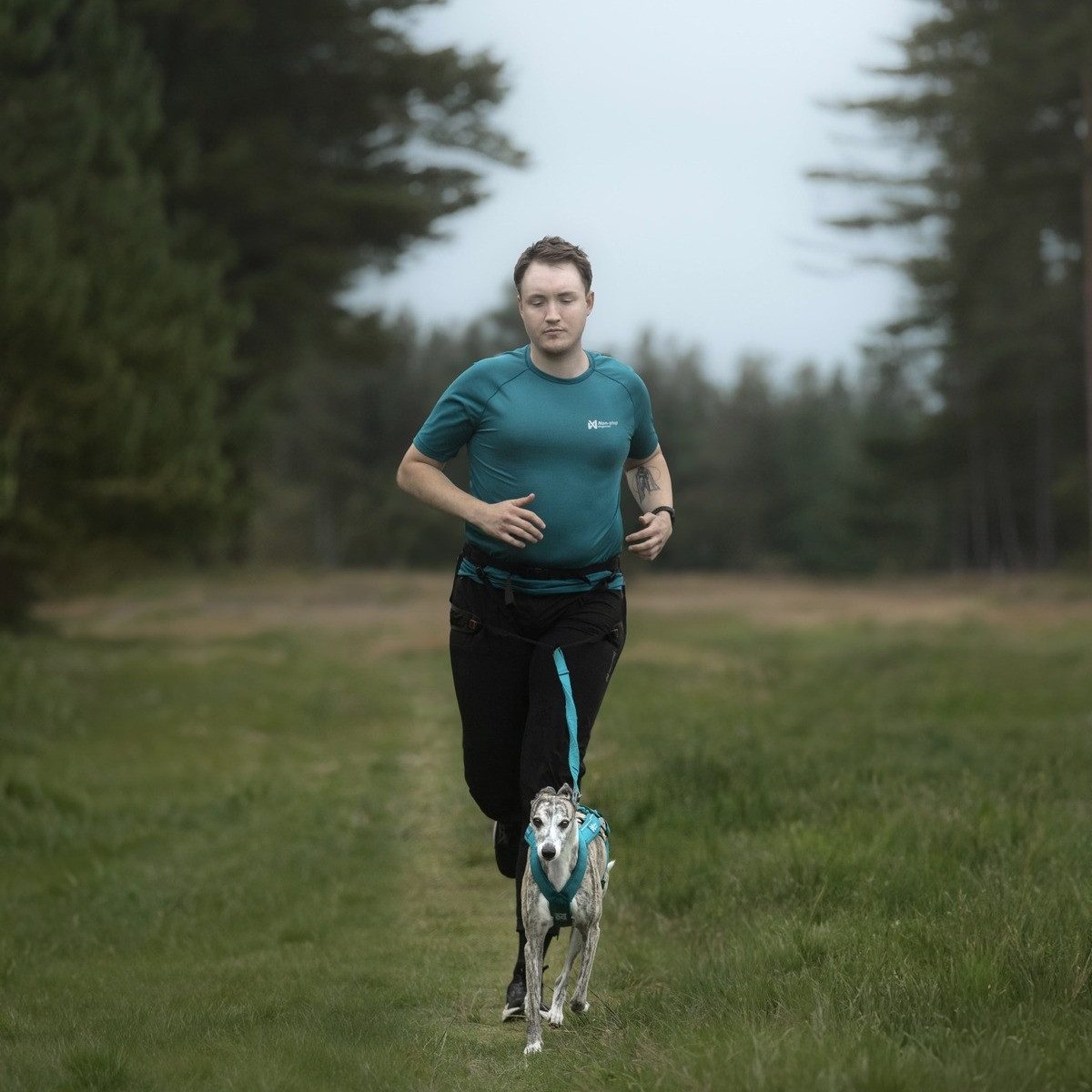 Non-stop dogwear Laufshirt Herren T-Shirt CaniX Tech Tee teal