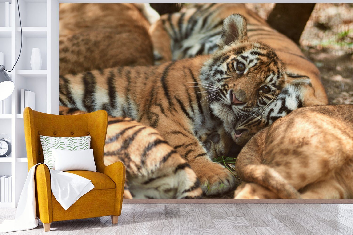 bedruckt, - Junglöwe für Tiger Wohnzimmer, St), Vinyl Schlafzimmer, Fototapete Wallpaper MuchoWow Sonne, Tapete (6 - Kinderzimmer, Matt,