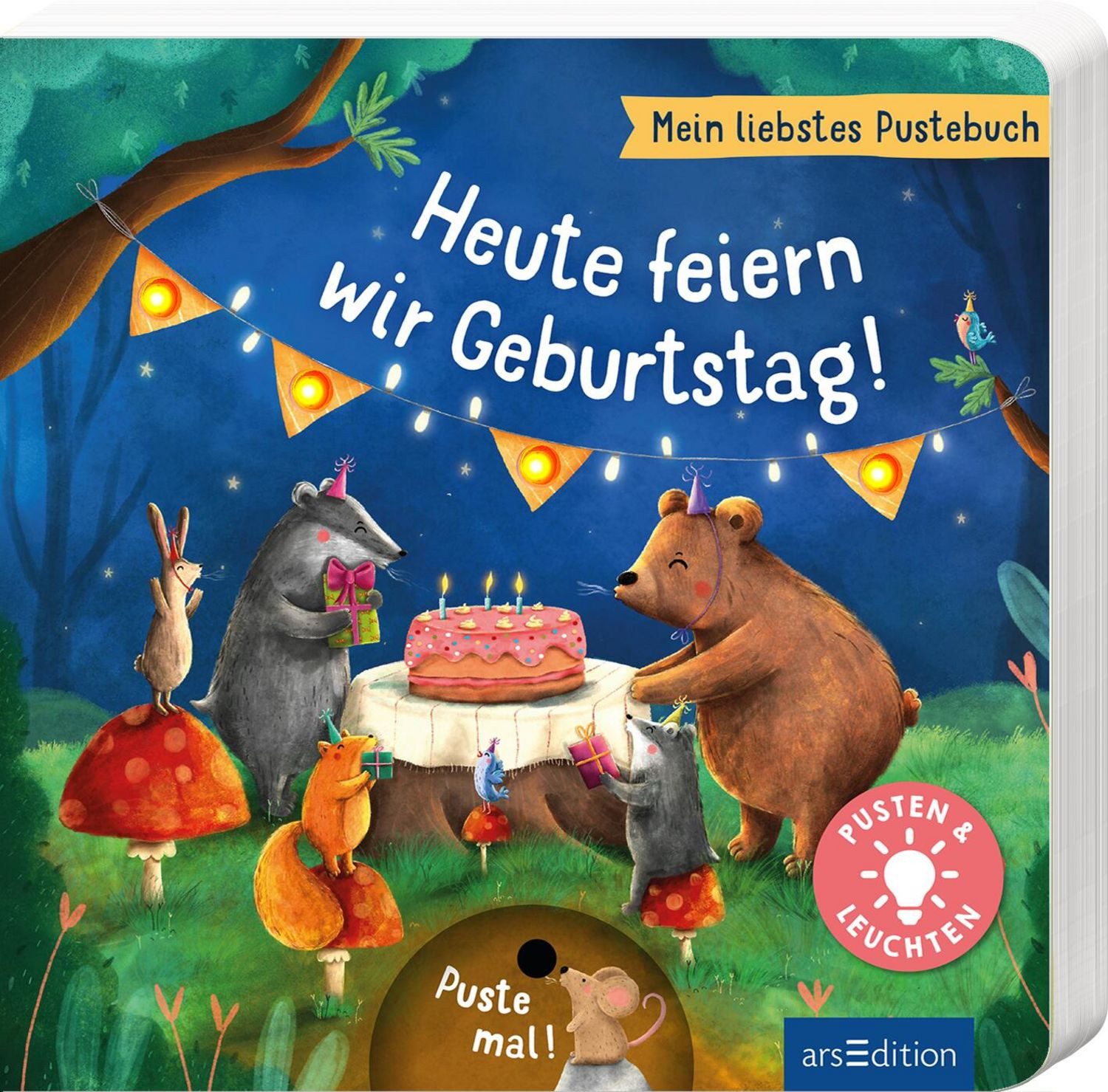 Mein liebstes Pustebuch – Heute feiern wir Geburtstag! / Maria Höck