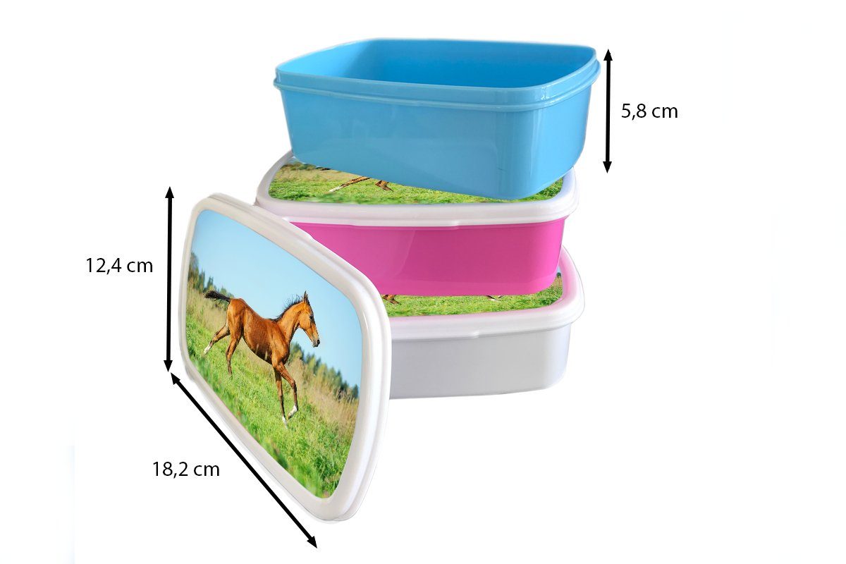 Kunststoff, Lunchbox Pferd Brotbox Braun, Kunststoff Brotdose MuchoWow - Gras (2-tlg), Kinder, rosa für Snackbox, Mädchen, Erwachsene, -