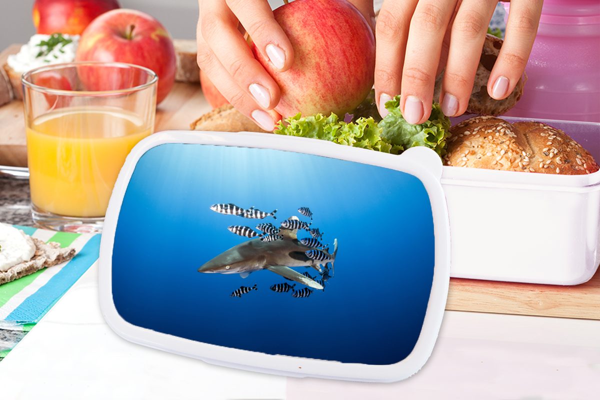 Brotbox Brotdose, mit MuchoWow und Fisch, Hai Kinder (2-tlg), für Jungs Erwachsene, Lunchbox weiß Kunststoff, für und Mädchen