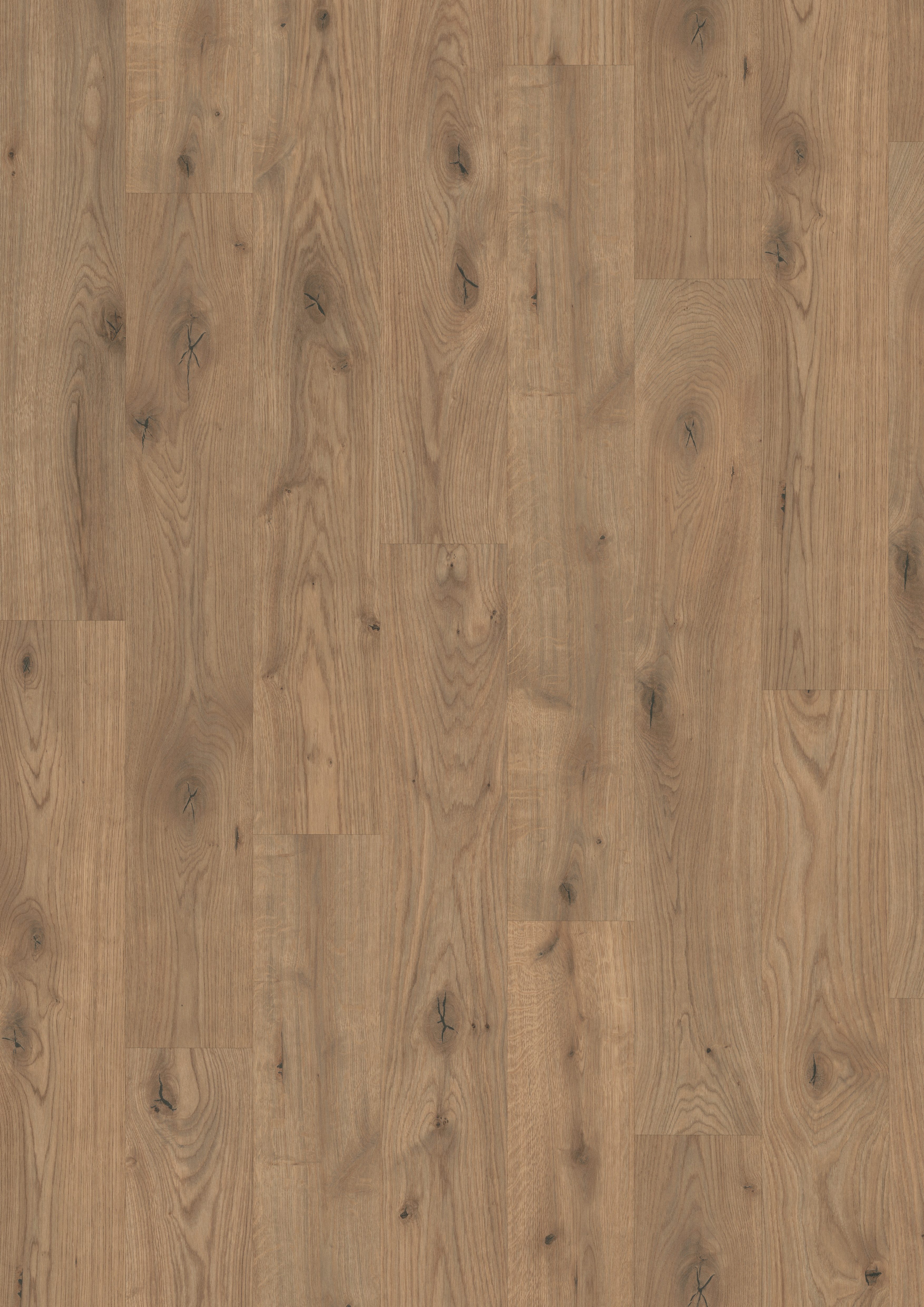 EGGER Vinylboden Aquadura+ EDF177 Almington Eiche natur (7,5mm; 1,995qm), Wasserbeständ, Holzbasierter elastischer Bodenbelag mit HDF Trägerplatte