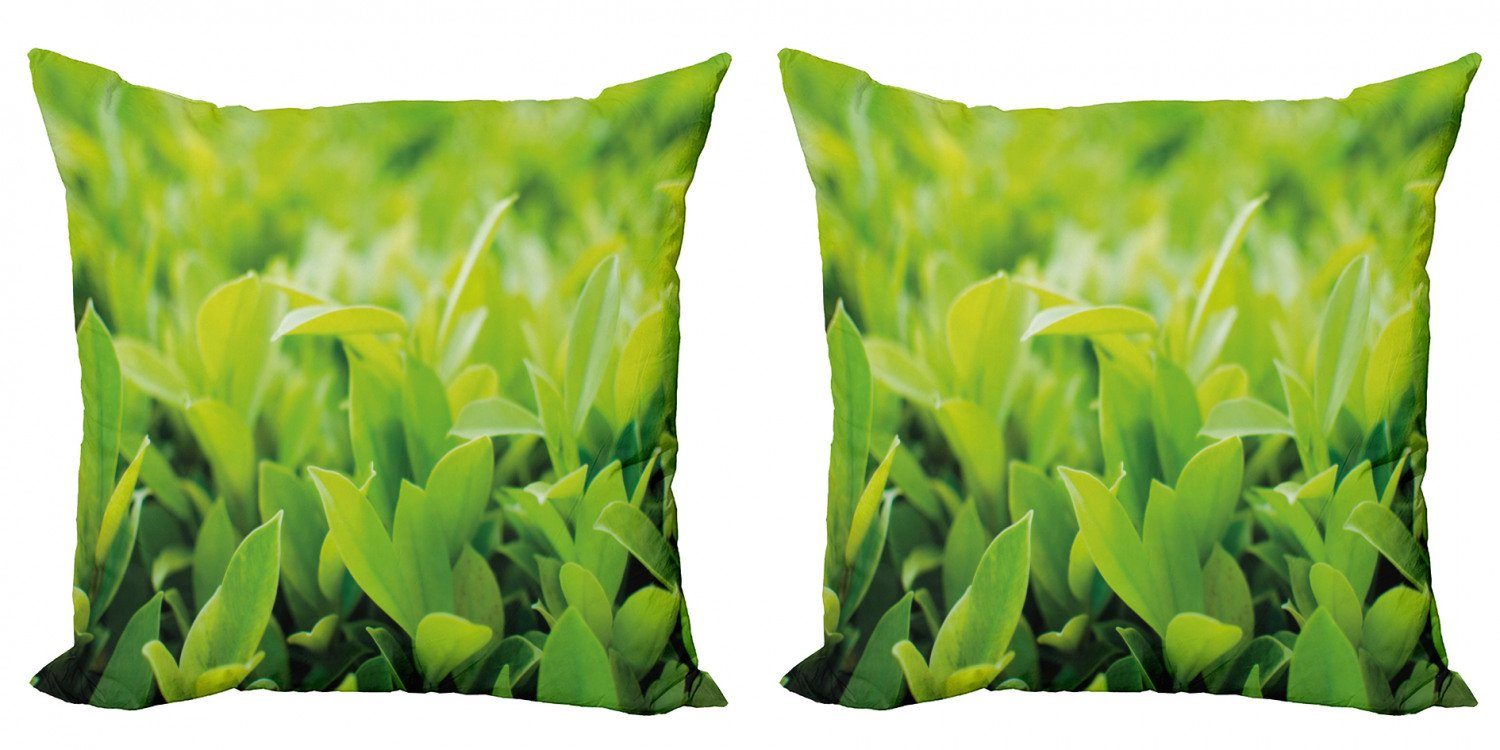 Leaves Doppelseitiger Digitaldruck, Pflanze Kissenbezüge Green (2 Modern Abakuhaus Macro Stück), Accent