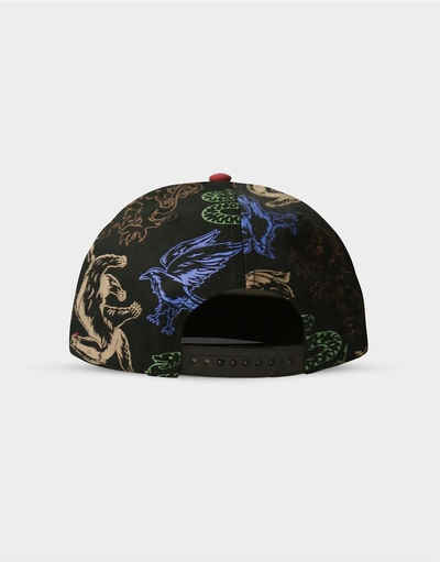 Harry Potter Snapback Cap