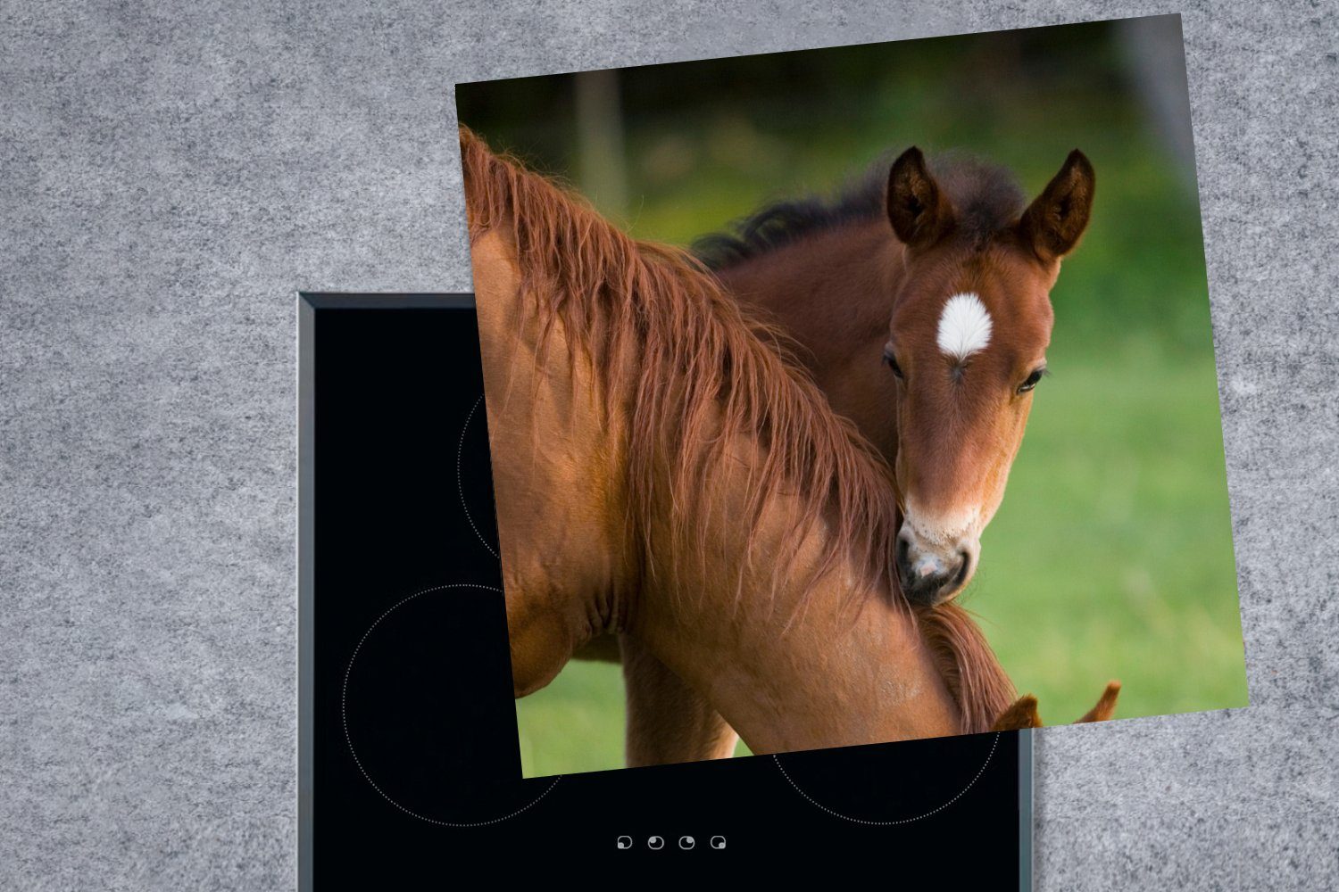 tlg), für Pferde Arbeitsplatte Gras (1 Vinyl, cm, Porträt, Herdblende-/Abdeckplatte - Ceranfeldabdeckung, MuchoWow küche 78x78 -