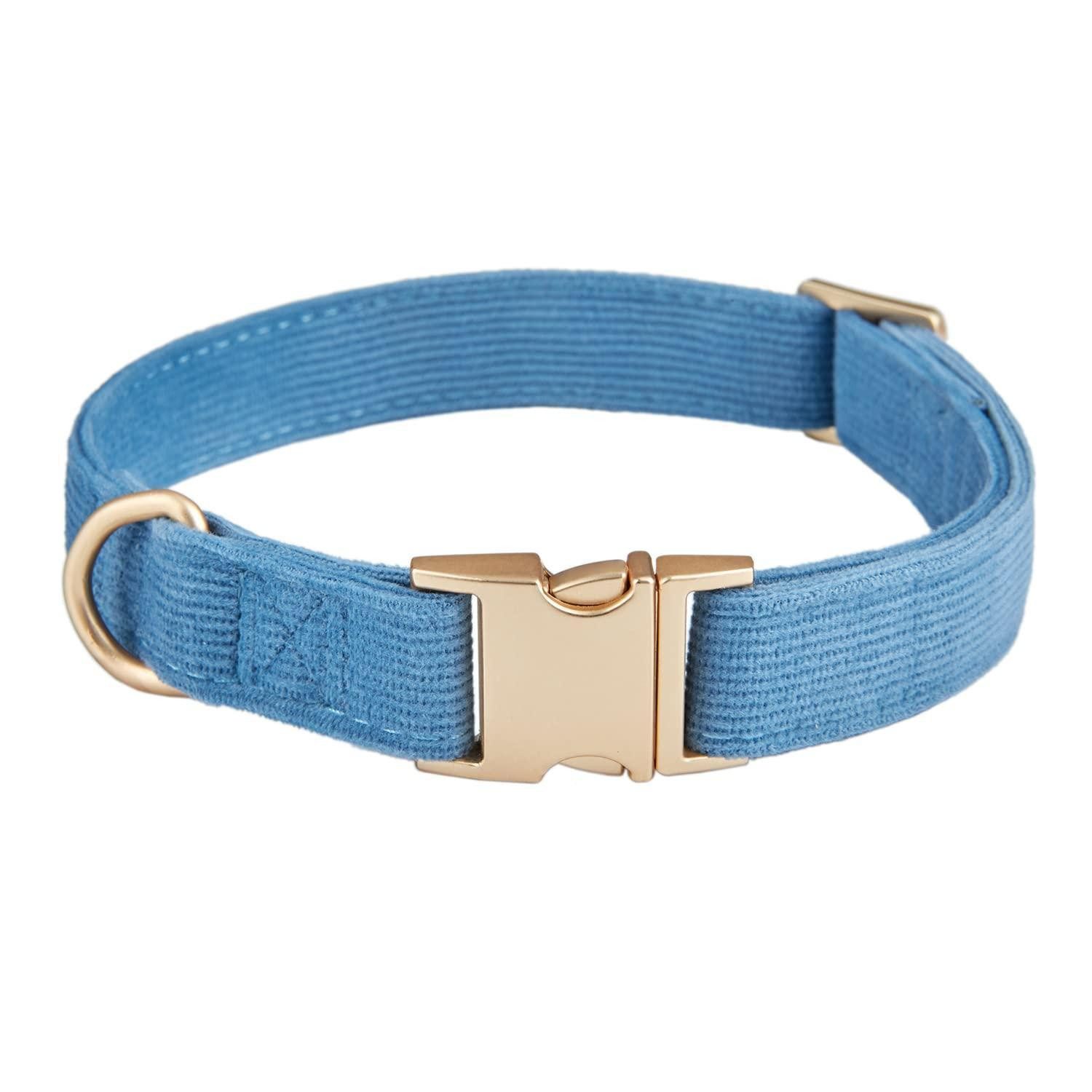 LuxusKollektion Hunde-Halsband Hundehalsband Cord Blaugrau S