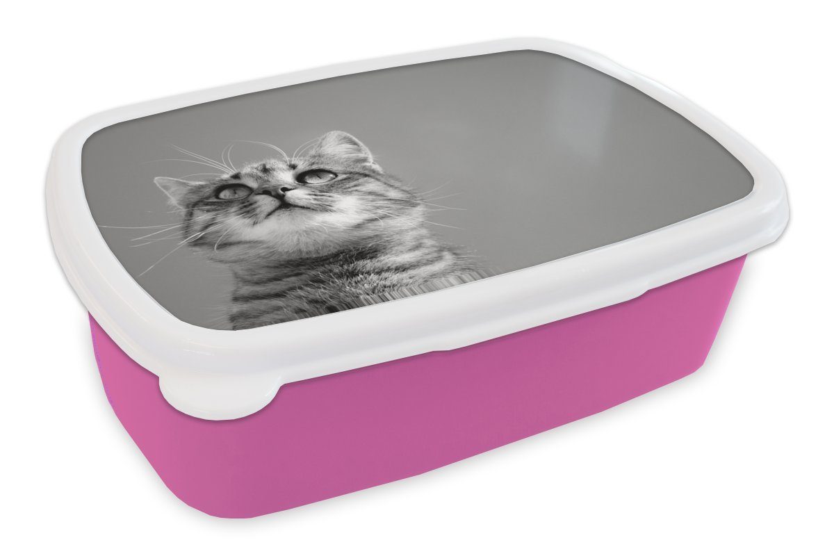 MuchoWow Lunchbox Katze - Braun - Luft - Mädchen - Jungen - Kinder, Kunststoff, (2-tlg), Brotbox für Erwachsene, Brotdose Kinder, Snackbox, Mädchen, Kunststoff rosa