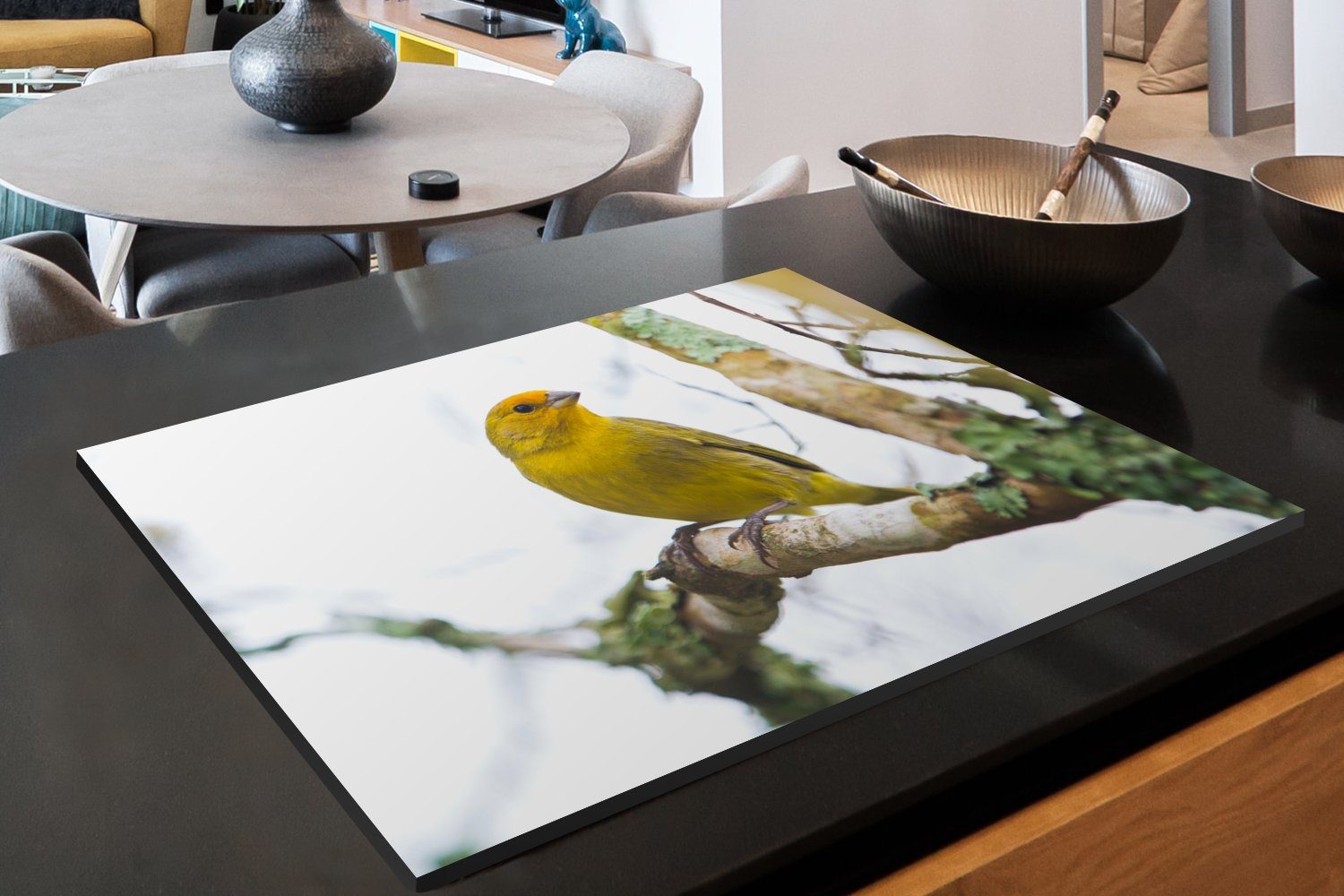 für die Kanarienvogel 81x52 Vinyl, küche, im Ceranfeldabdeckung Schutz herbstlichen Geäst, MuchoWow (1 Gelber Induktionskochfeld Herdblende-/Abdeckplatte tlg), cm,