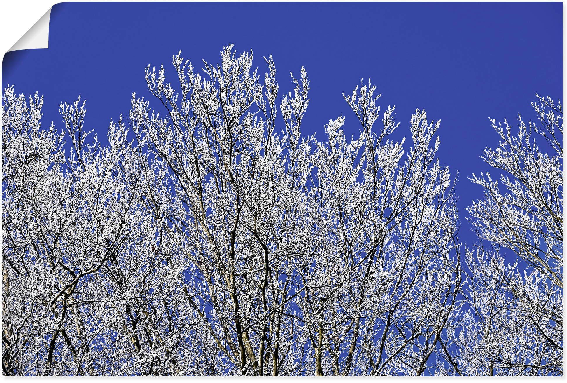 Artland Wandbild Schneebedeckte Bäume, Vier oder Jahreszeiten Poster Wandaufkleber in St), Alubild, Bilder versch. Leinwandbild, (1 Größen als