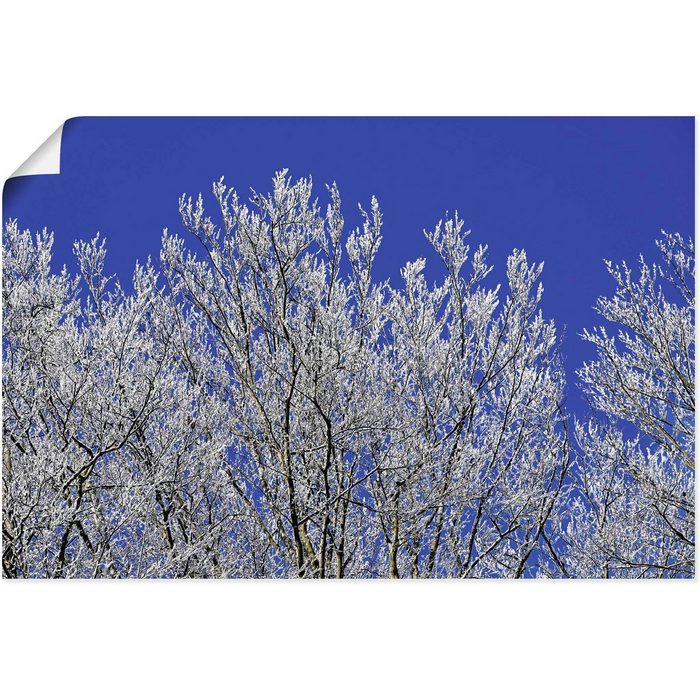 Artland Wandbild Schneebedeckte Bäume Vier Jahreszeiten Bilder (1 St) als Alubild Leinwandbild Wandaufkleber oder Poster in versch. Größen