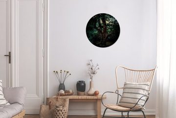 MuchoWow Gemälde Baum - Glühwürmchen - Natur, (1 St), Kreis Wanddekoration Forex, Rundes Wandbild, Wohnzimmer, 30x30 cm