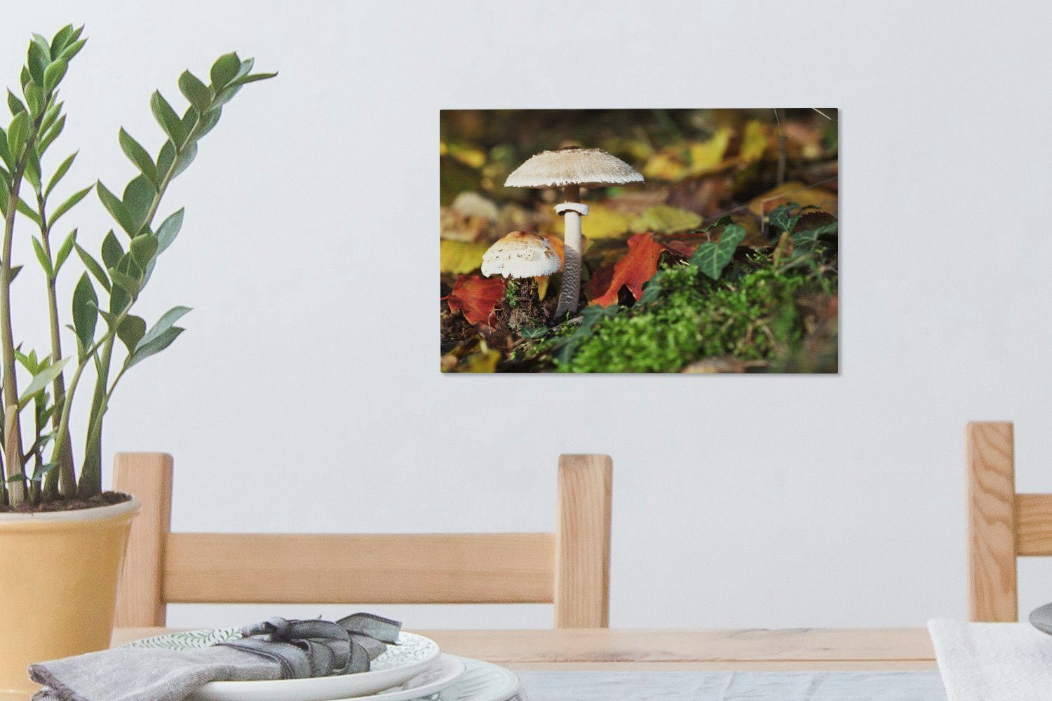 Leinwandbild (1 einem Wald, Wanddeko, St), cm OneMillionCanvasses® 30x20 Pilze Leinwandbilder, Wandbild in Aufhängefertig,