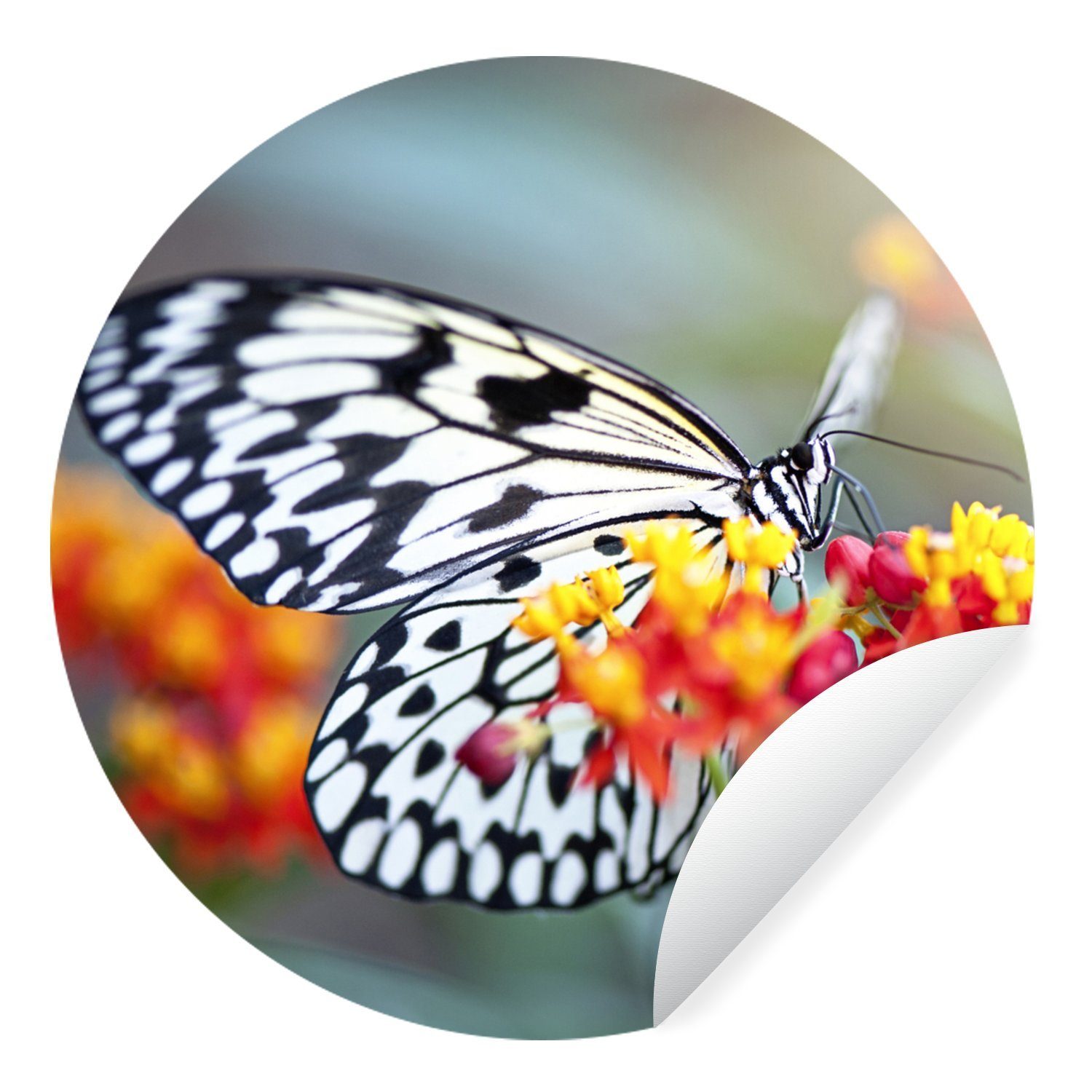 MuchoWow Wandsticker Schmetterling - Blume - Tiere (1 St), Tapetenkreis für Kinderzimmer, Tapetenaufkleber, Rund, Wohnzimmer