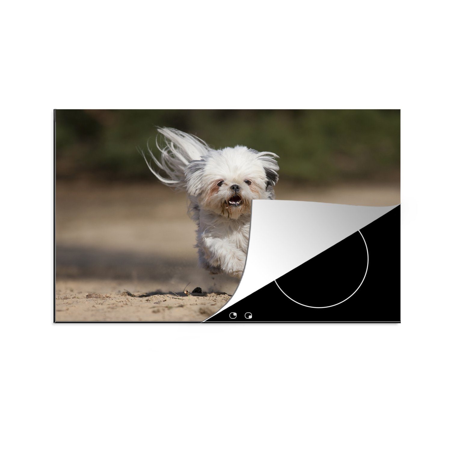 MuchoWow Herdblende-/Abdeckplatte Ein Shih Tzu Hund schwebt mit seinen Beinen über dem Boden, Vinyl, (1 tlg), 81x52 cm, Induktionskochfeld Schutz für die küche, Ceranfeldabdeckung