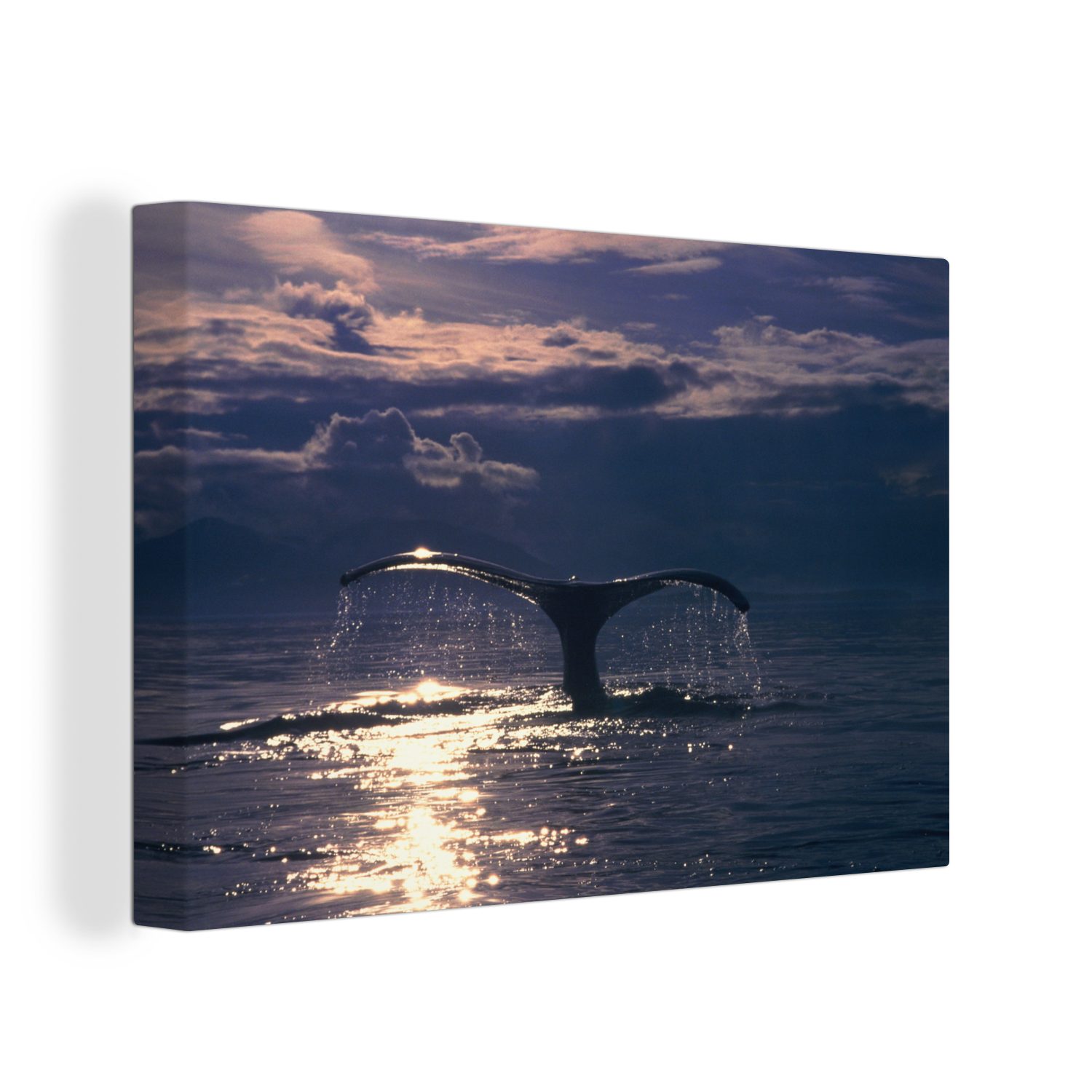 OneMillionCanvasses® Leinwandbild Wal - Schwanz - Wasser, Fotodruck (1 St), Leinwand Bilder Klein, Wand Dekoration Aesthetic 30x20 cm