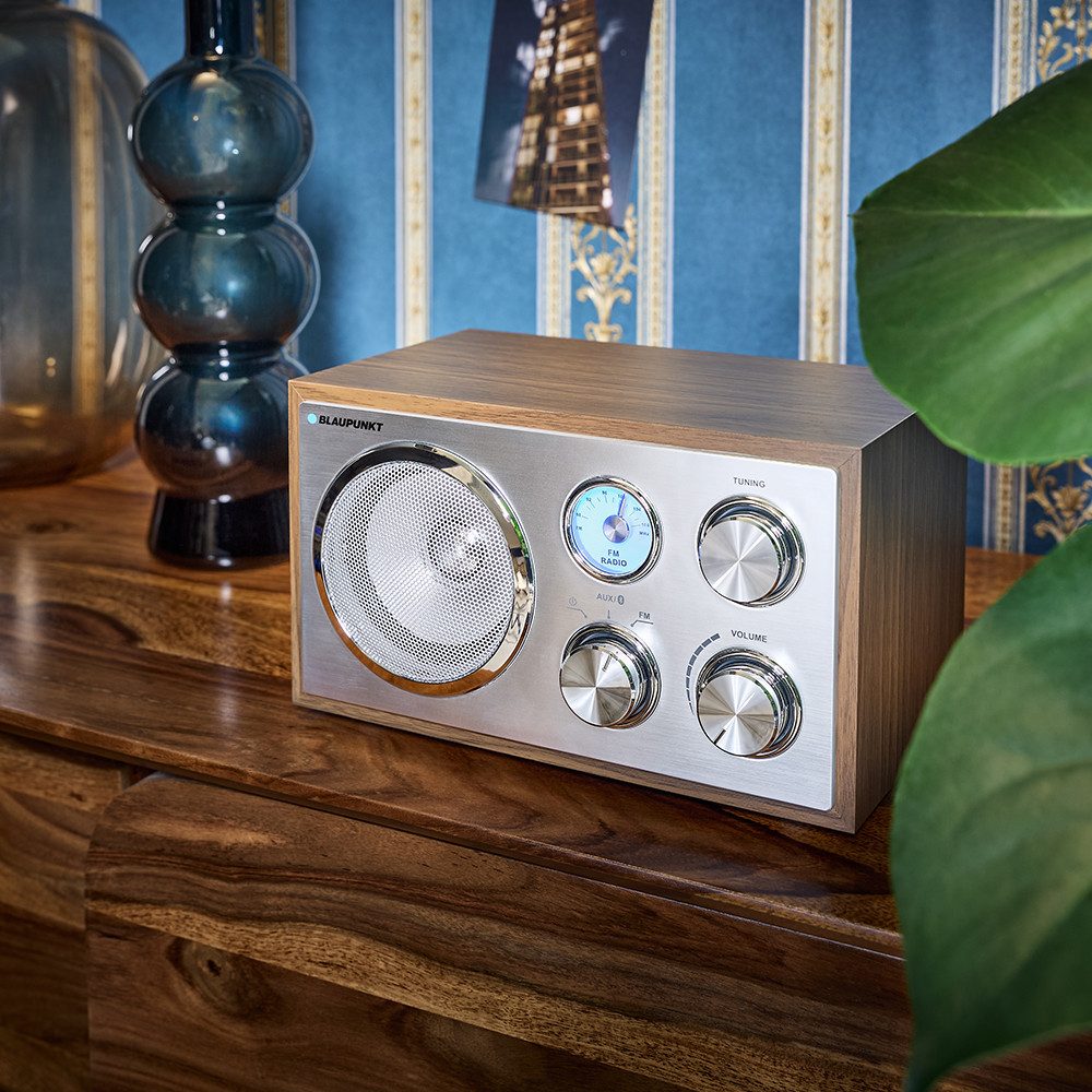 Blaupunkt RXN 180 Radio (UKW, Hintergrundbeleuchtete Freguenzanzeige)